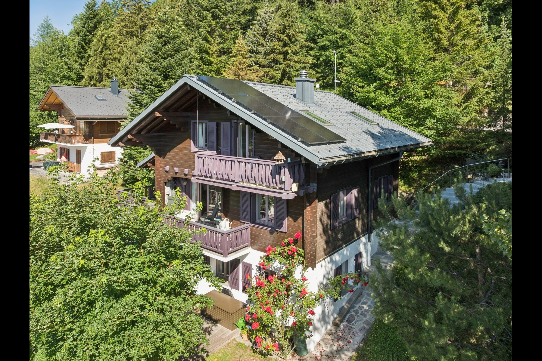  A peaceful retreat surrounded by nature. Near the Leysin American School. - 物件實景