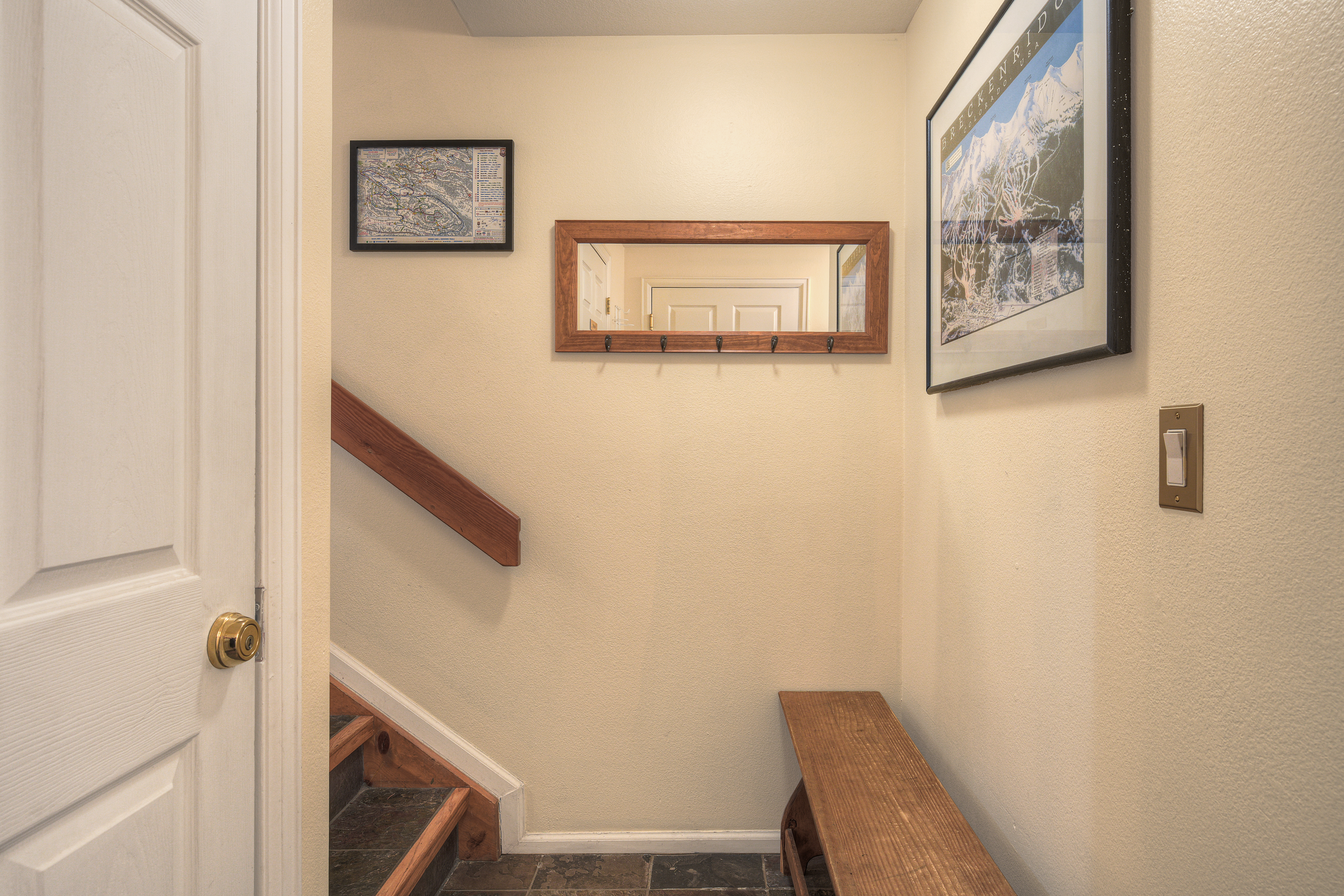  114 Park Forest Drive, Breckenridge, CO, 80424 - 物件實景