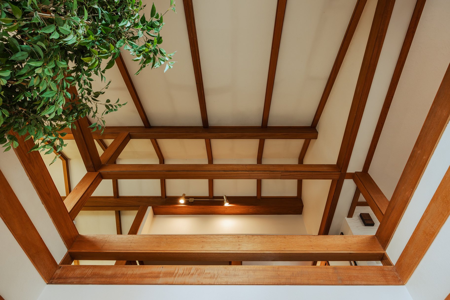  A Ron Molen Design Home - 物件實景
