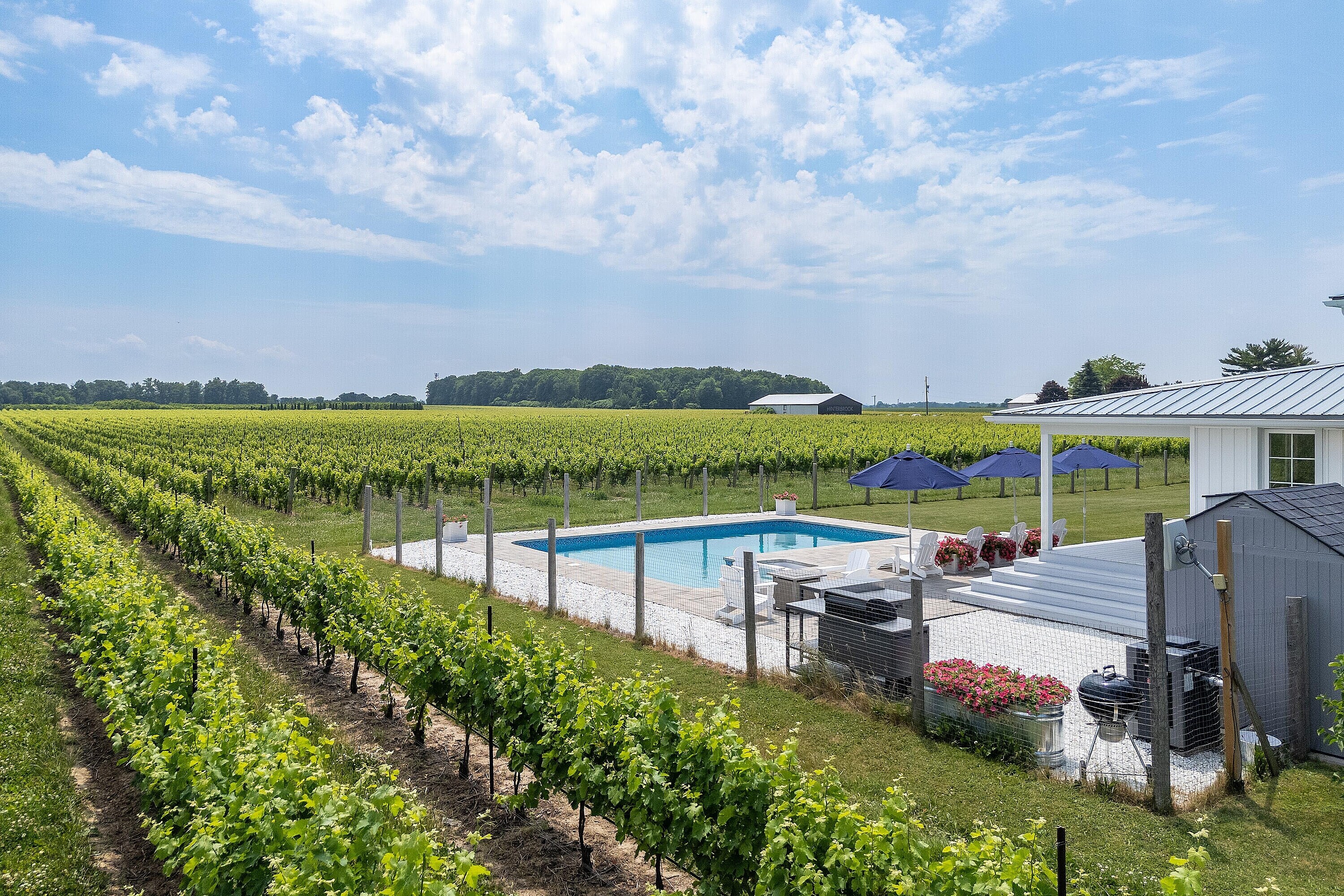  Luxury Vineyard Living - 物件實景