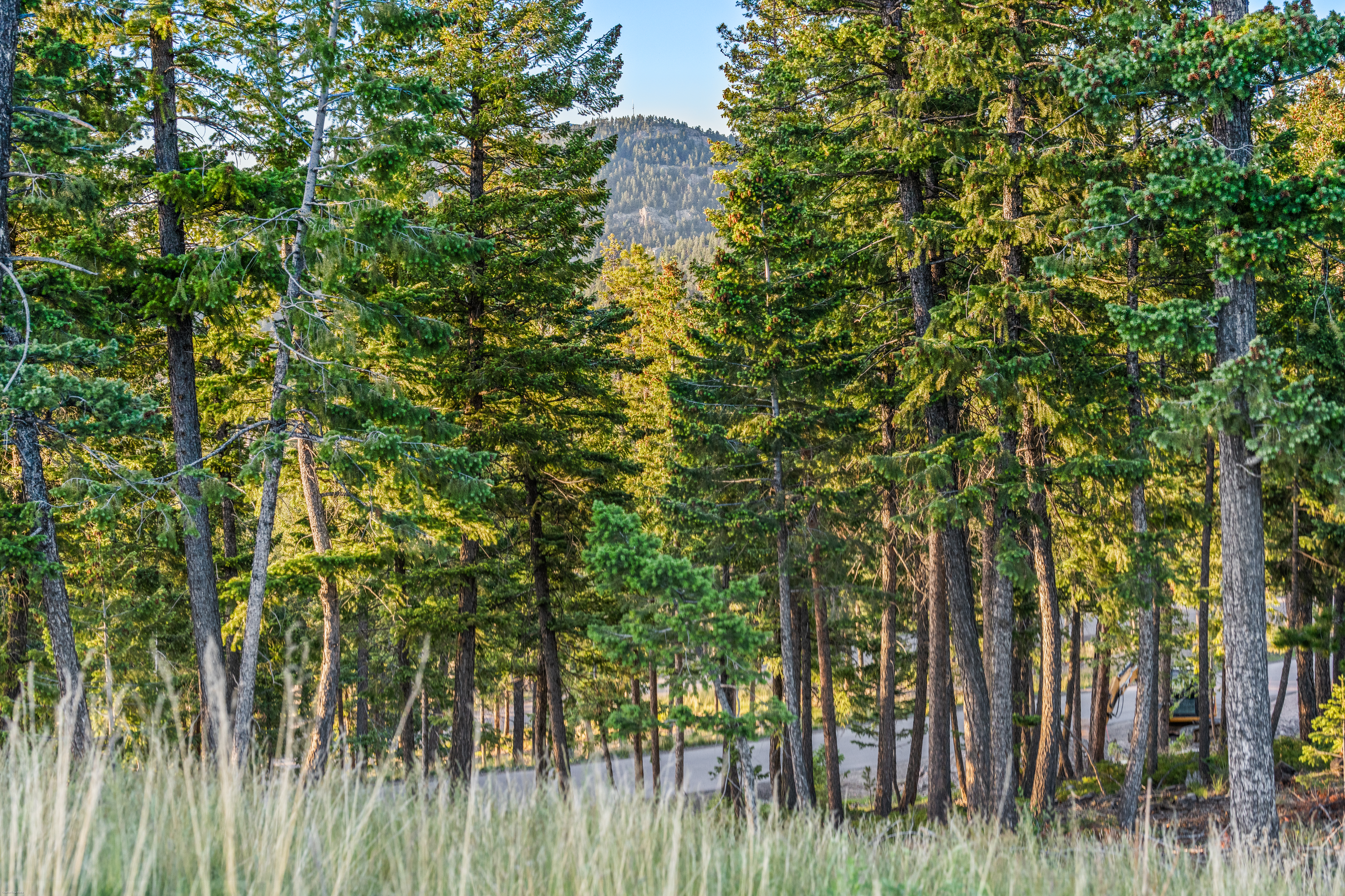  Acreage Available in Evergreen