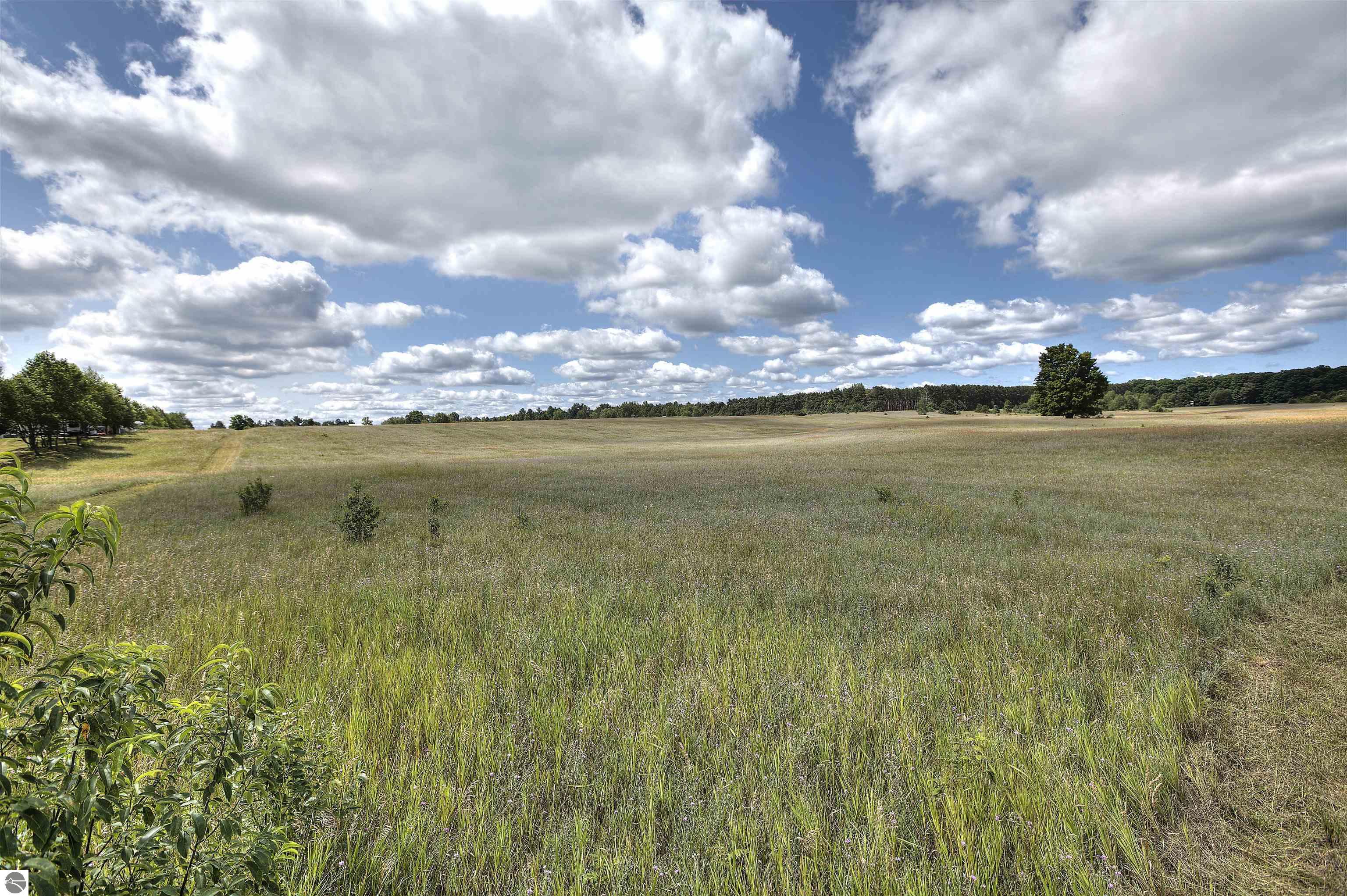 Interlochen, Michigan, 49643, United States, ,Land,For Sale,1895460