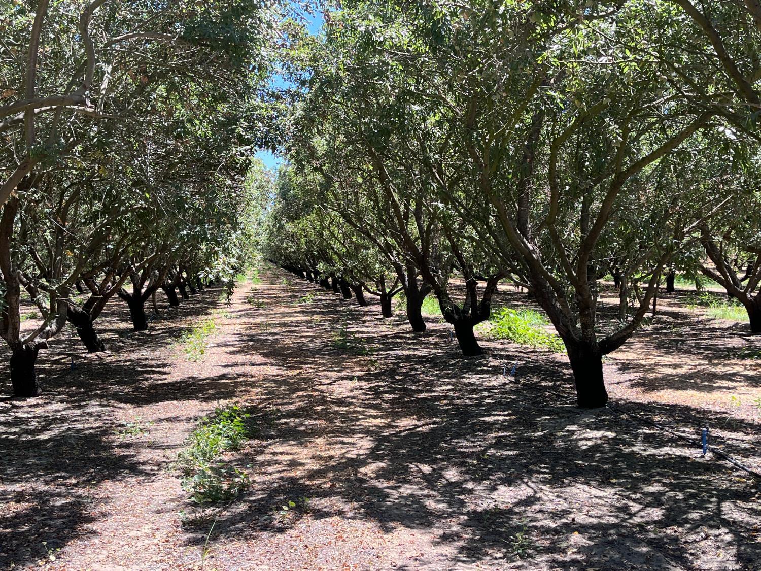 Livingston, California, 95334, United States, 3 Bedrooms Bedrooms, ,2 BathroomsBathrooms,Residential,For Sale,1975273