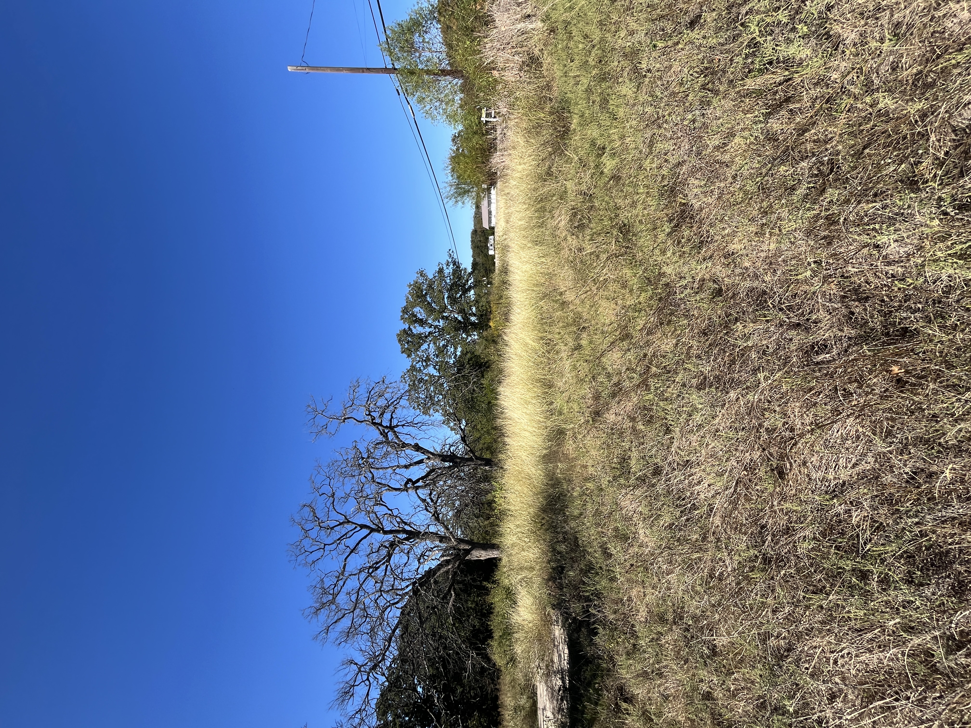West Tawakoni, Texas, 75474, United States, ,Land,For Sale,1975357