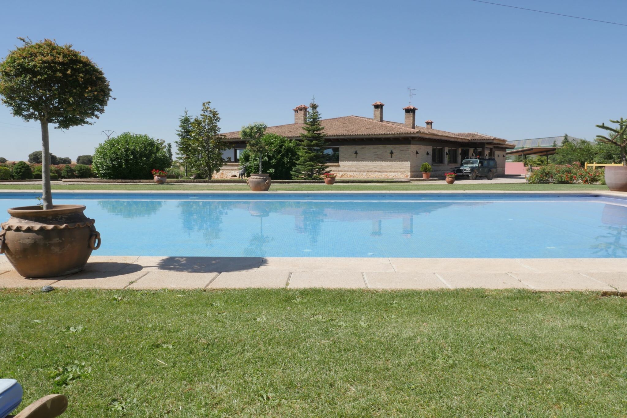  Equestrian center specialized in Arabian horses and fighting bulls. - 物件實景