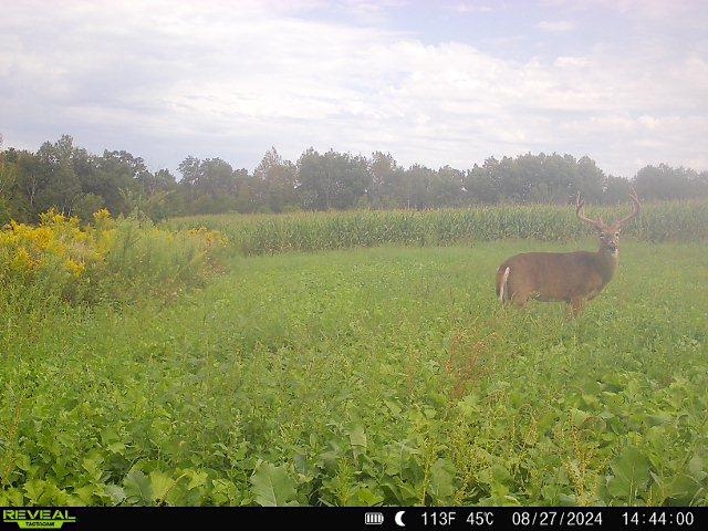 Gays Mills, Wisconsin, 54631, United States, ,Residential,For Sale,1928729