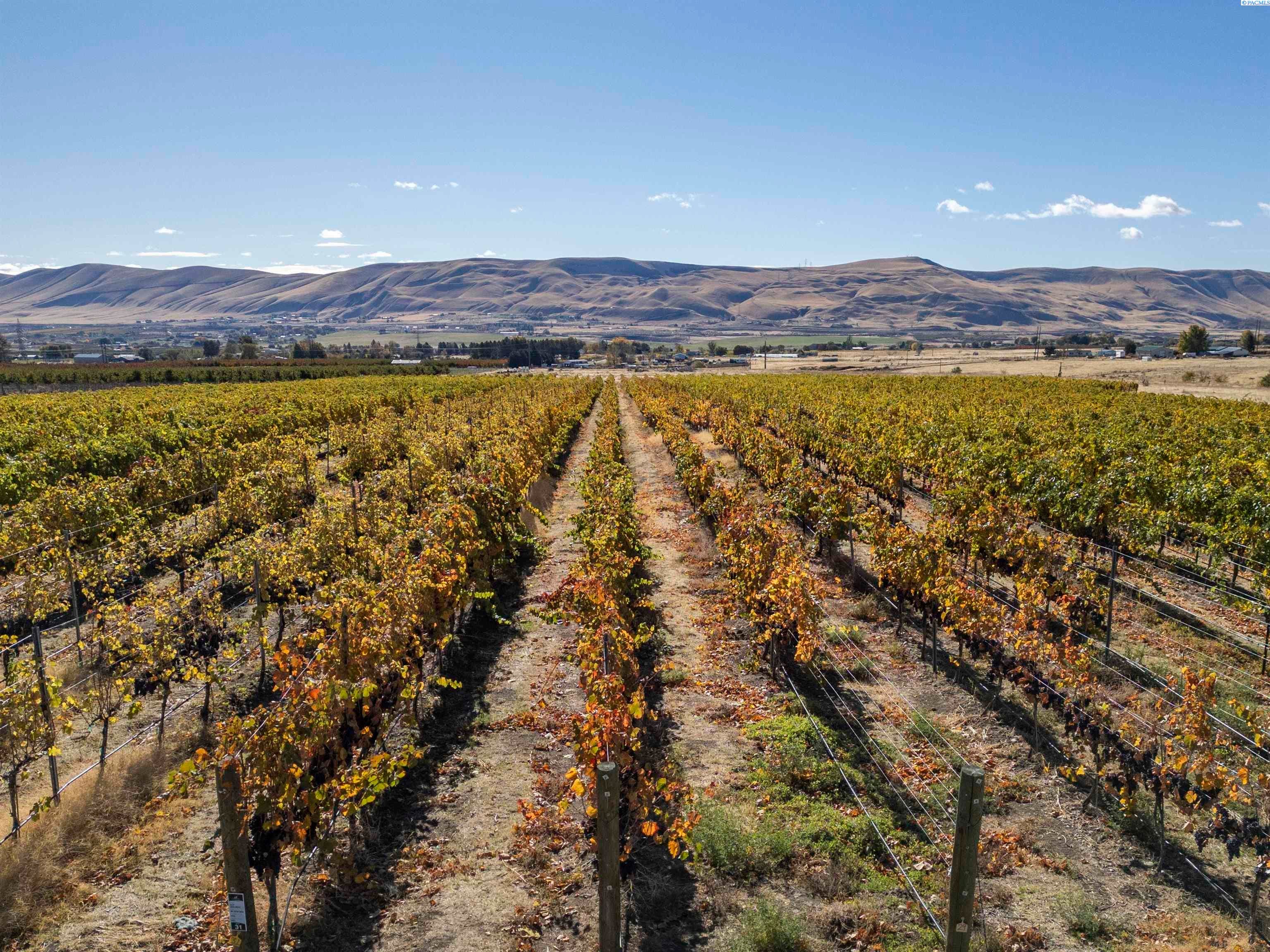 Benton City, Washington, 99320, United States, 3 Bedrooms Bedrooms, ,2 BathroomsBathrooms,Residential,For Sale,1992566