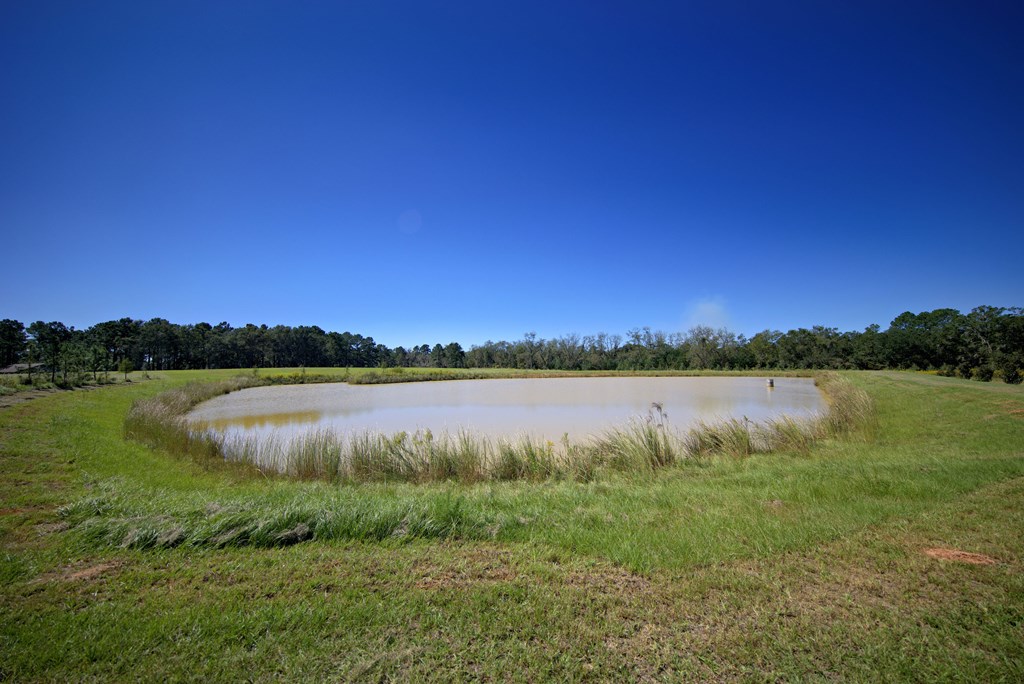 Pavo, Georgia, 31778, United States, ,Residential,For Sale,1988640