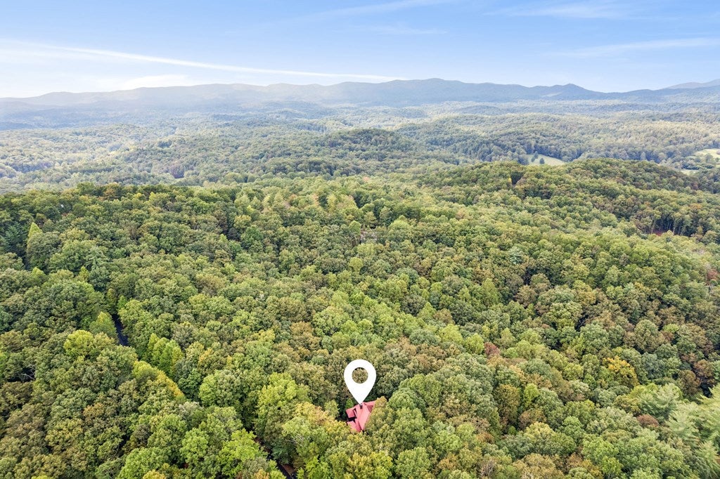 Ellijay, Georgia, 30540, United States, 3 Bedrooms Bedrooms, ,4 BathroomsBathrooms,Residential,For Sale,1952402