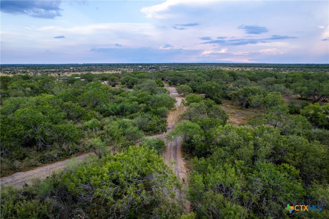 000 CR376, George West, Texas, 78022, United States, ,Land,For Sale,000 CR376,1676850