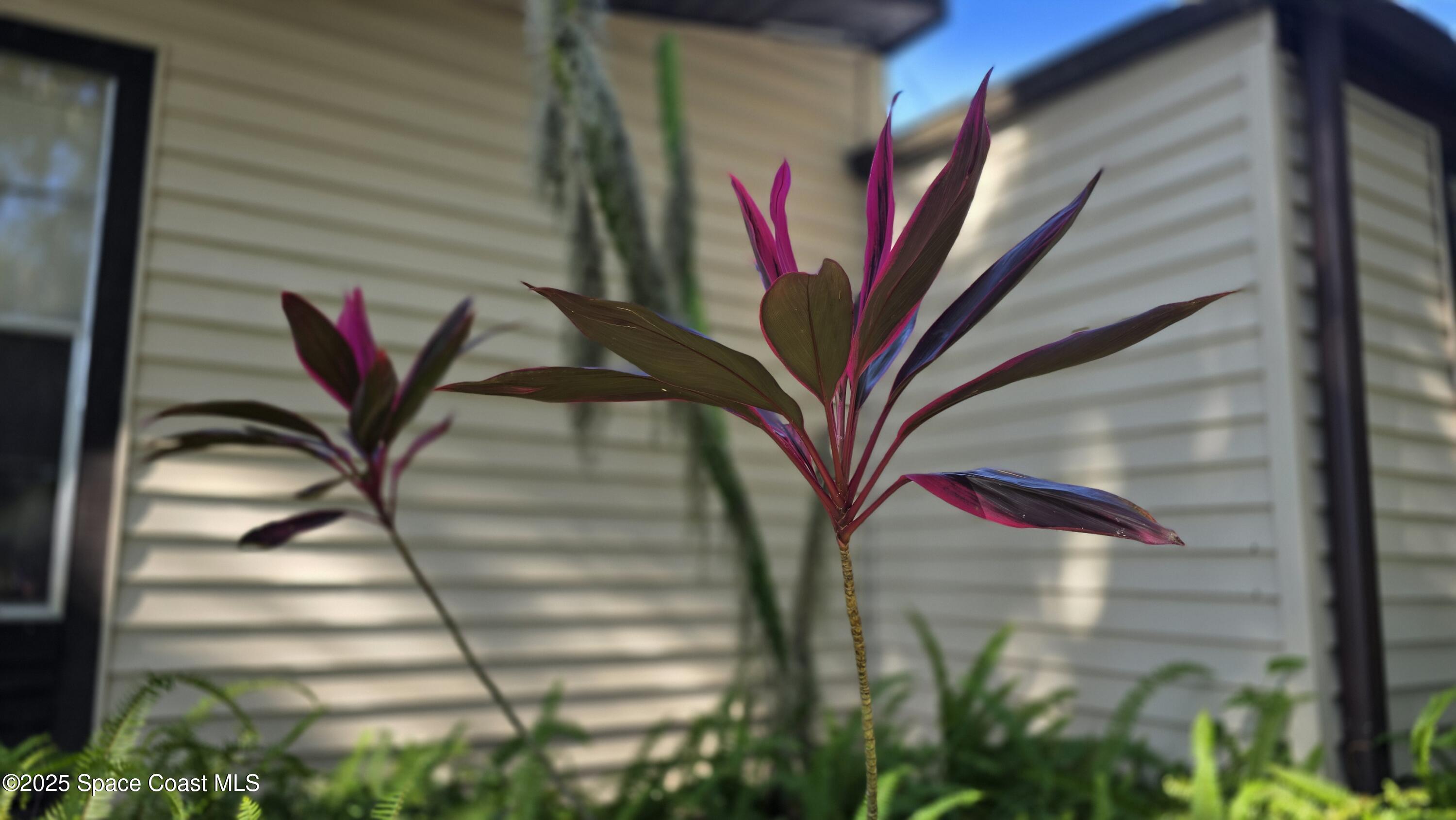 Merritt Island, Florida, 32953, United States, 4 Bedrooms Bedrooms, ,2 BathroomsBathrooms,Residential,For Sale,1991244