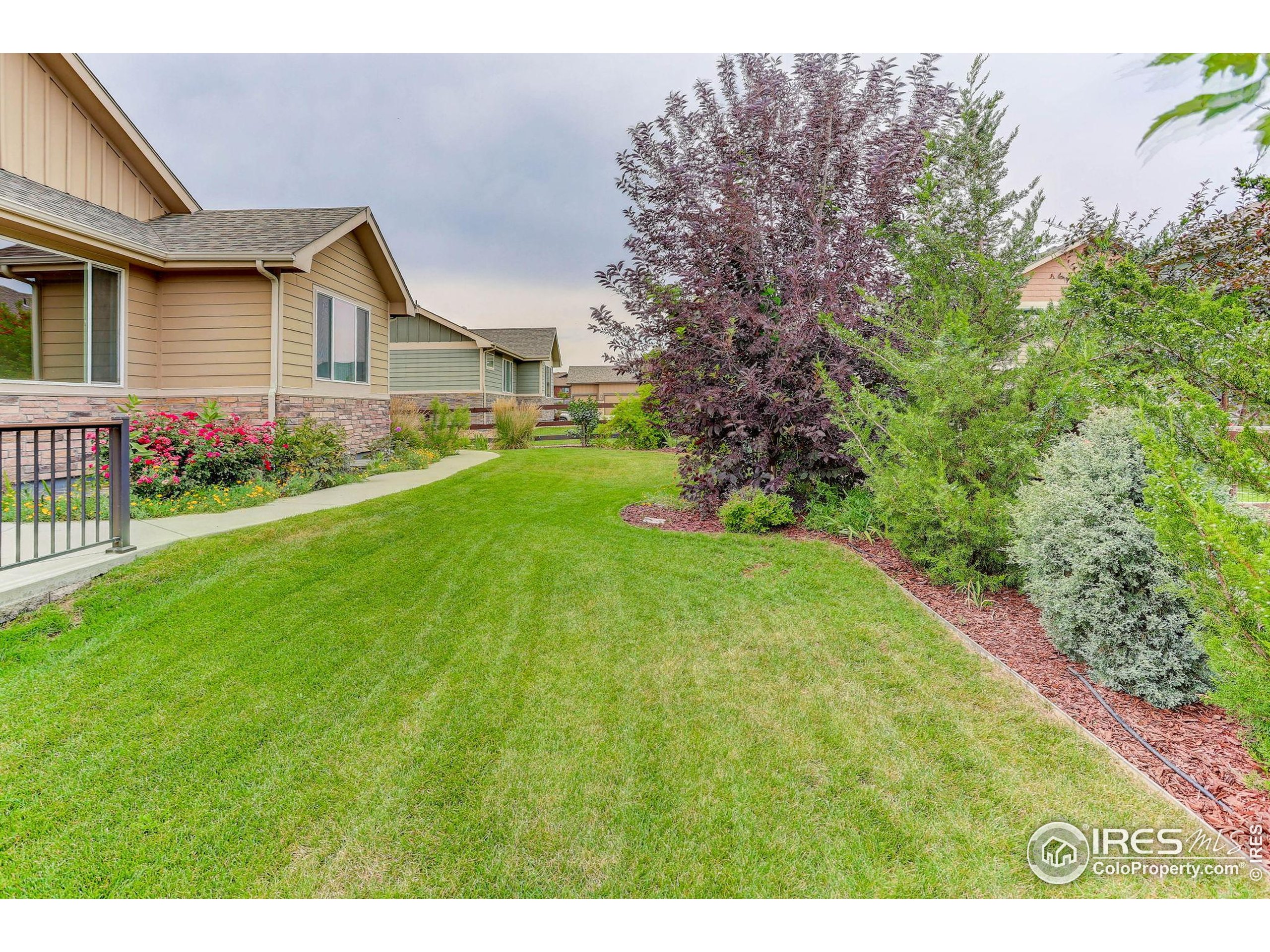 Windsor, Colorado, 80550, United States, 3 Bedrooms Bedrooms, ,2 BathroomsBathrooms,Residential,For Sale,1910992