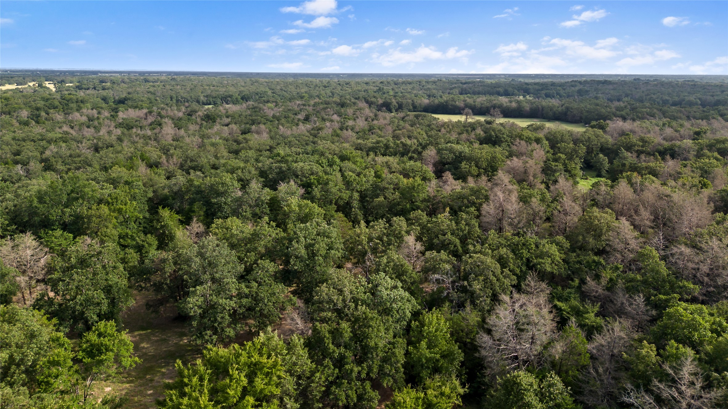 Bremond, Texas, 76629, United States, ,Land,For Sale,1986531
