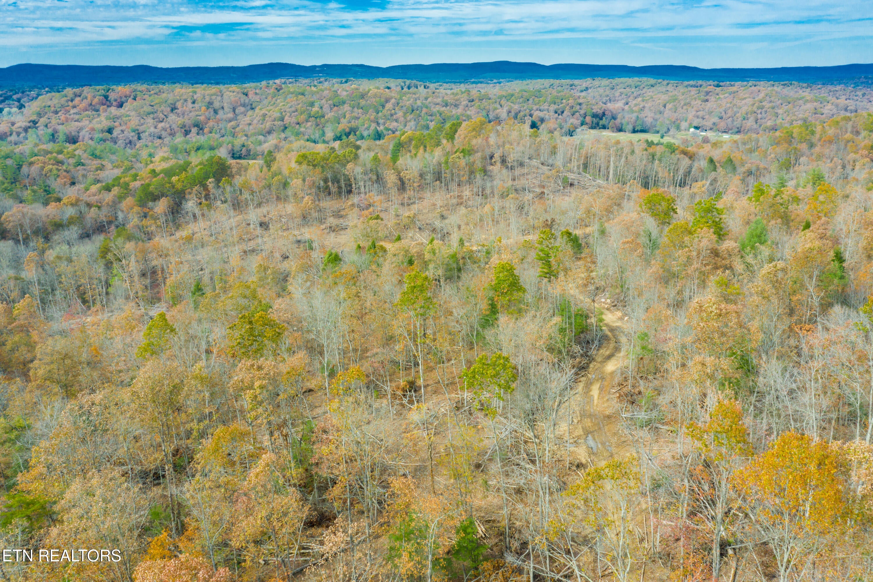Rockwood, Tennessee, 37854, United States, ,Land,For Sale,1806468