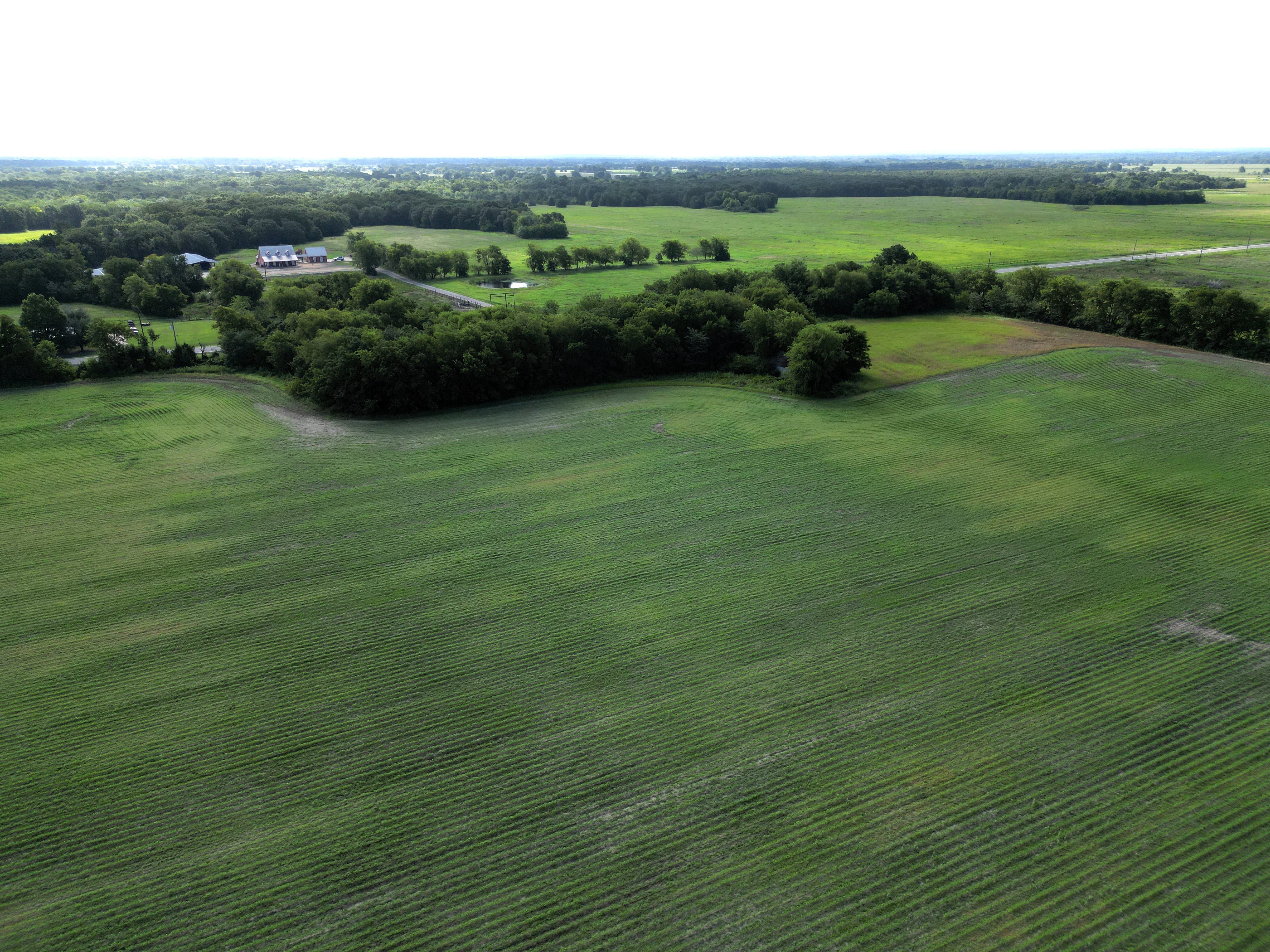 Commerce, Texas, 75428, United States, ,Residential,For Sale,1921218