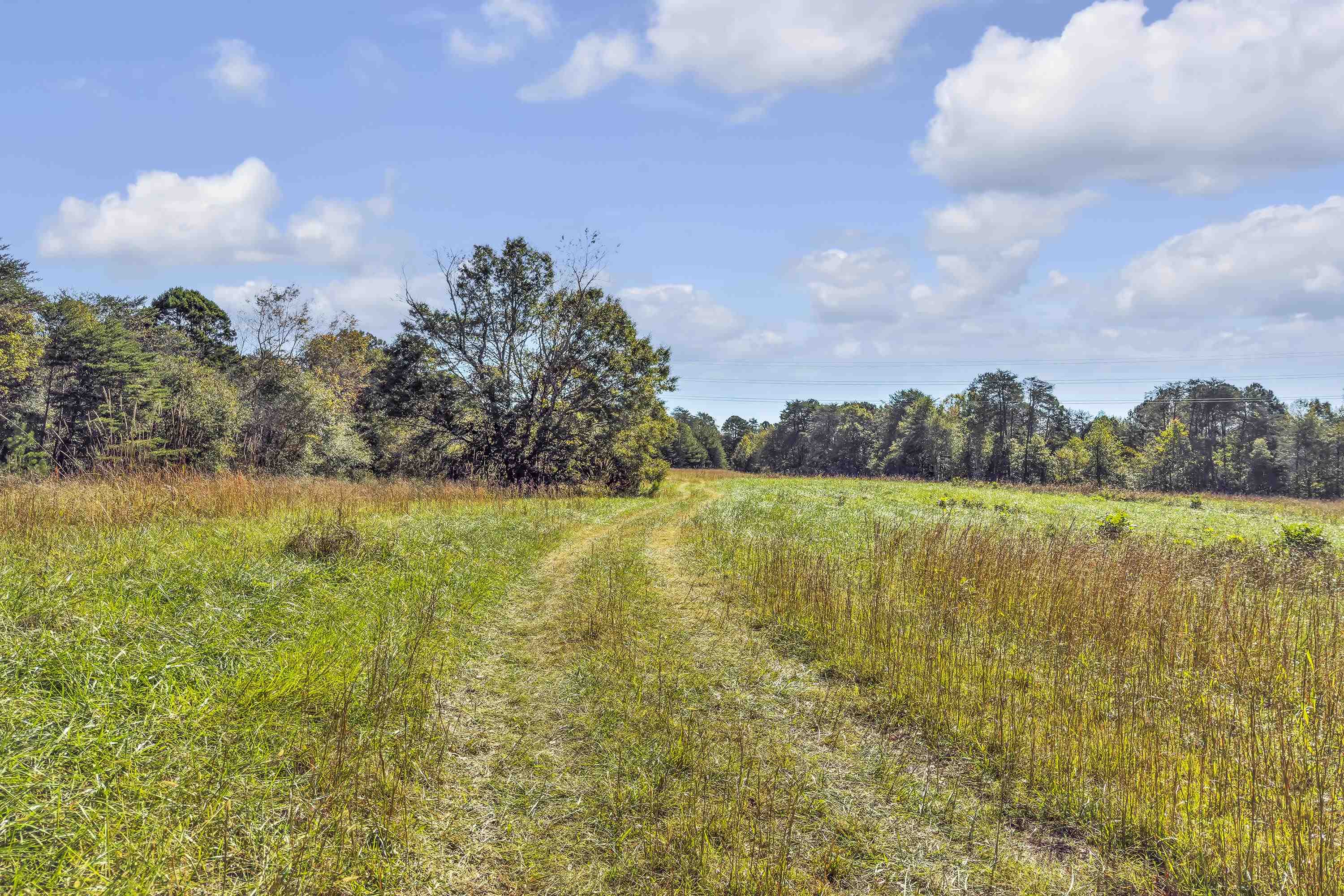 Old Converse Road, Spartanburg, South Carolina, 29301, United States, ,Land,For Sale,Old Converse Road,1646994