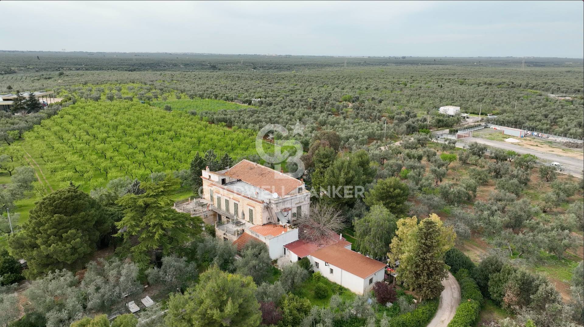 Bitonto, Bari, 70032, IT, 4 Bedrooms Bedrooms, ,4 BathroomsBathrooms,Residential,For Sale,1686700