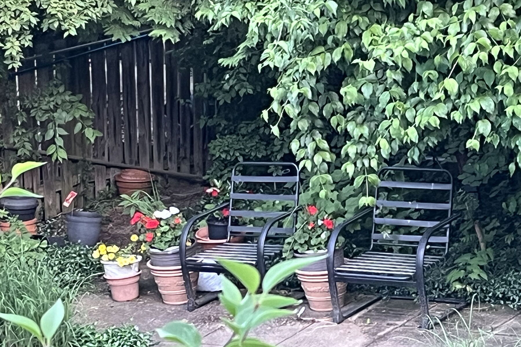  25 Sawley Dr - 物件實景