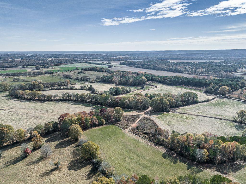 Taylorsville, Georgia, 30178, United States, ,Land,For Sale,1795283
