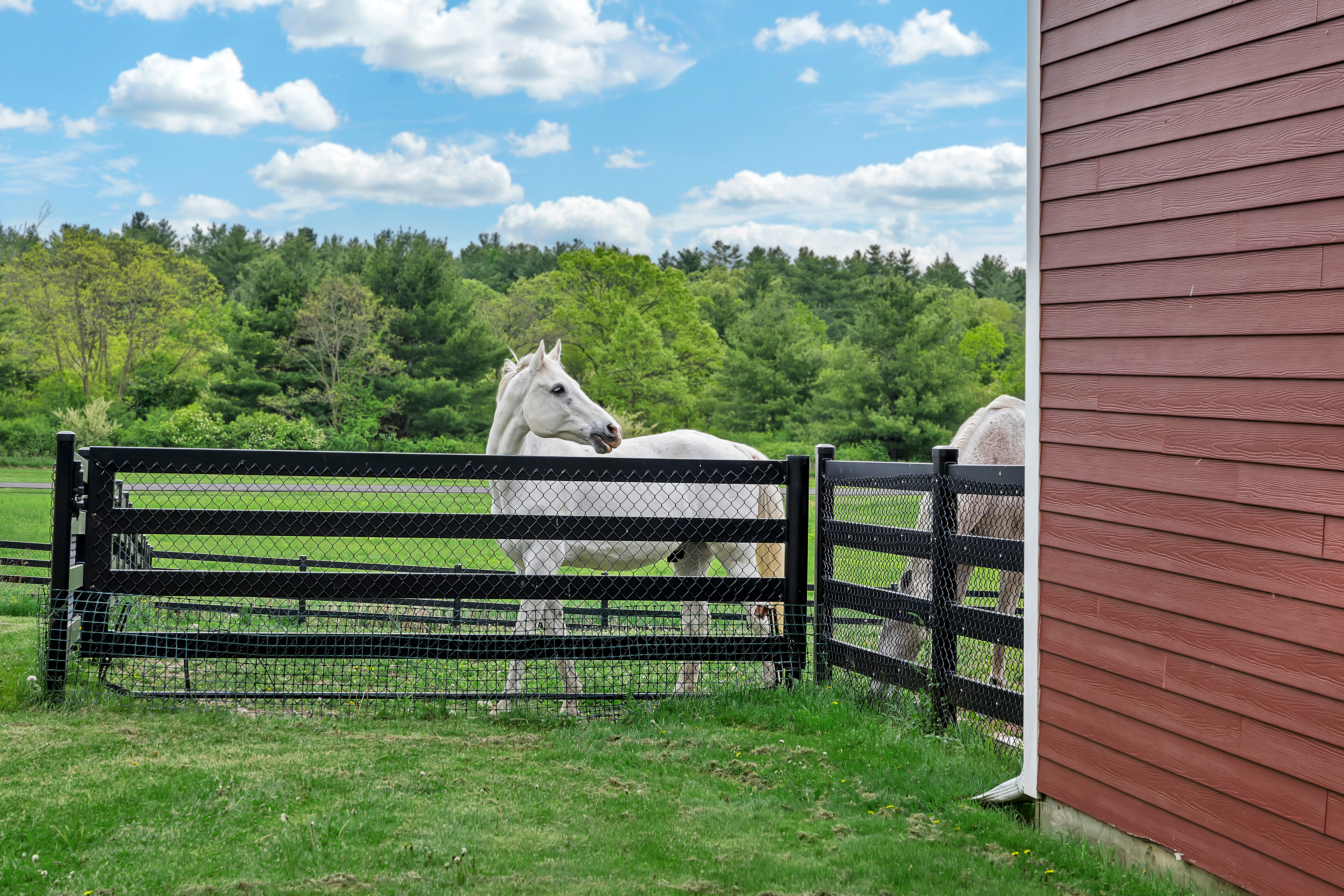  Equestrian Estate on 7 Acres - 物件實景