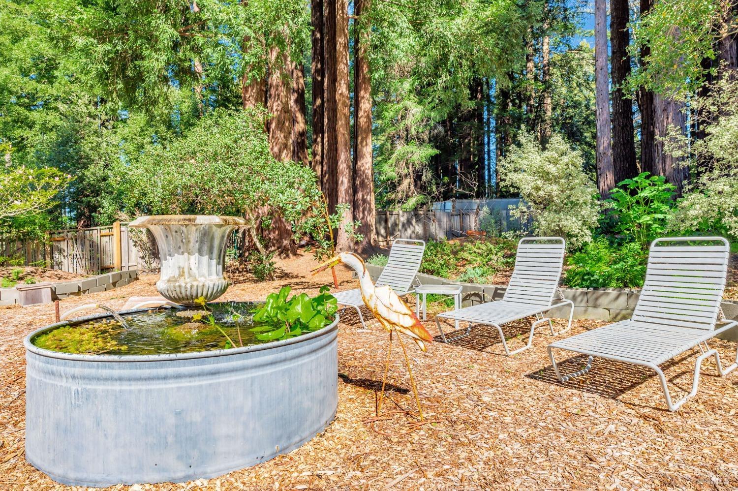 Sebastopol, California, 95472, United States, 4 Bedrooms Bedrooms, ,3 BathroomsBathrooms,Residential,For Sale,1989317