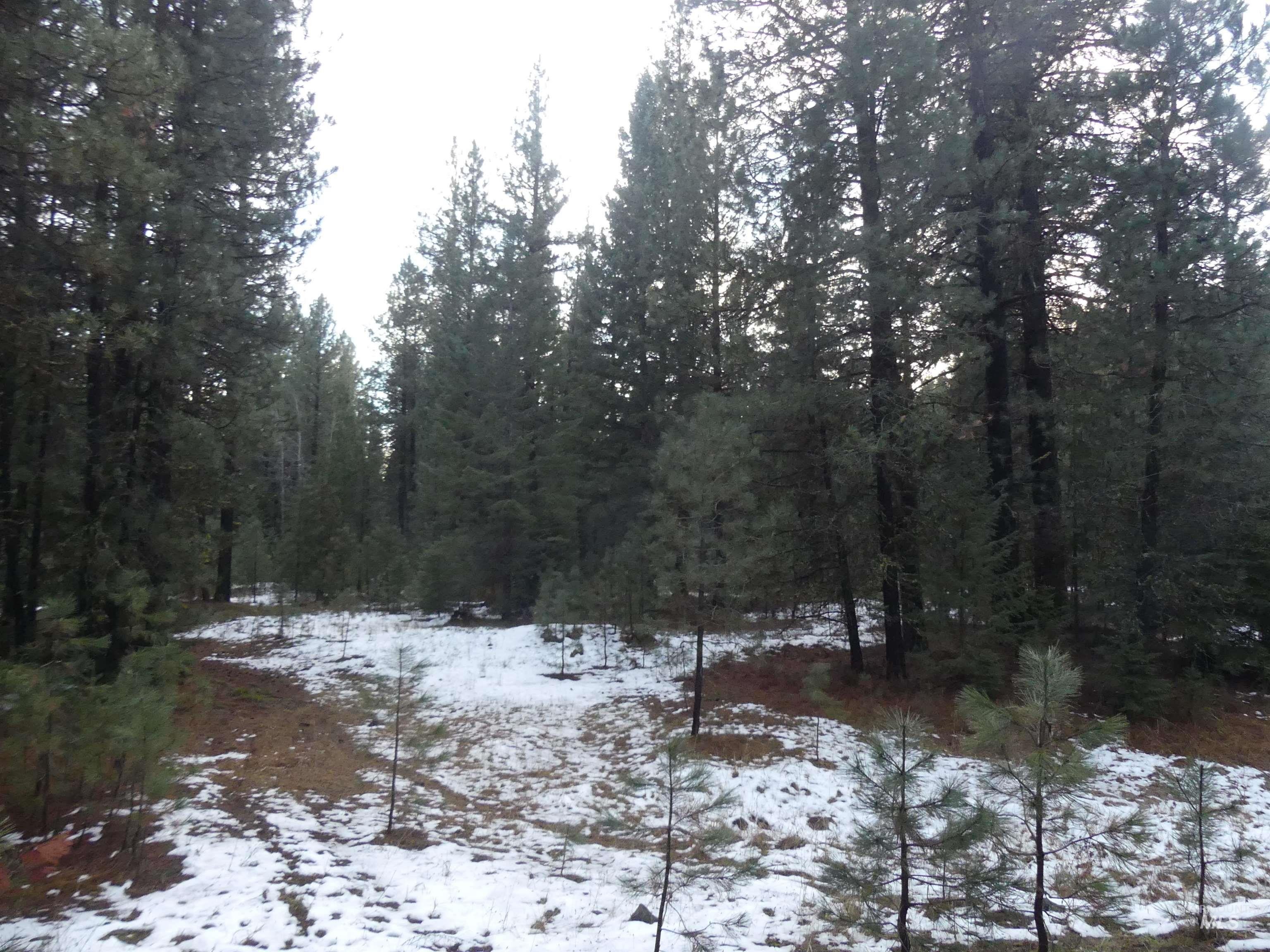 New Meadows, Idaho, 83654, United States, ,Land,For Sale,2006216