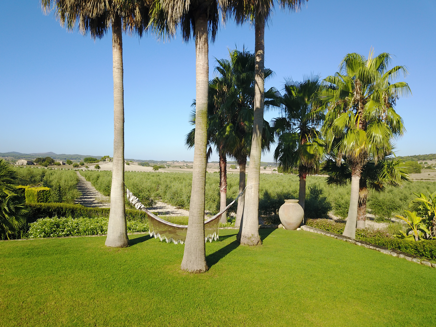 Authentic Majorcan estate with pool near Montuïri - 物件實景