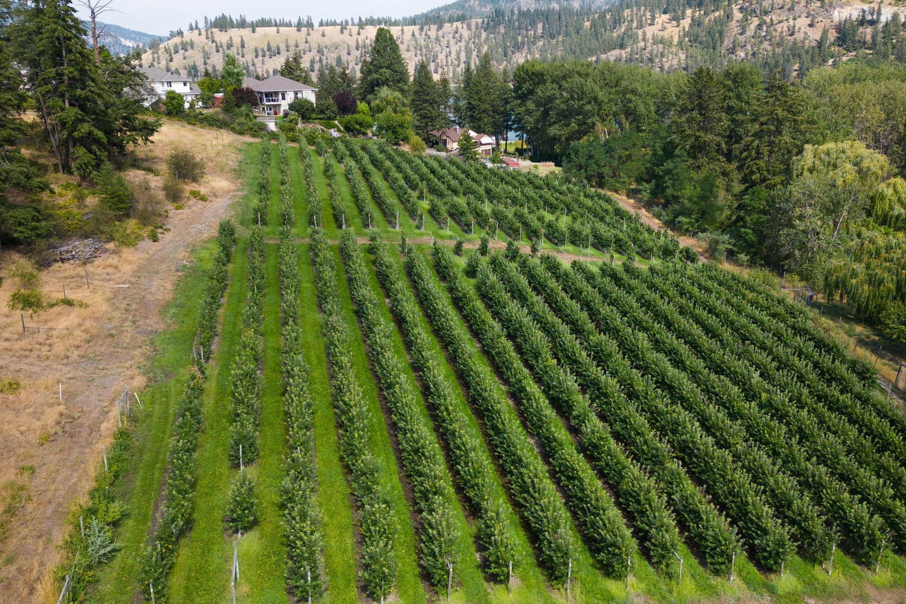  Stunning 10 Acre Parcel - 物件實景