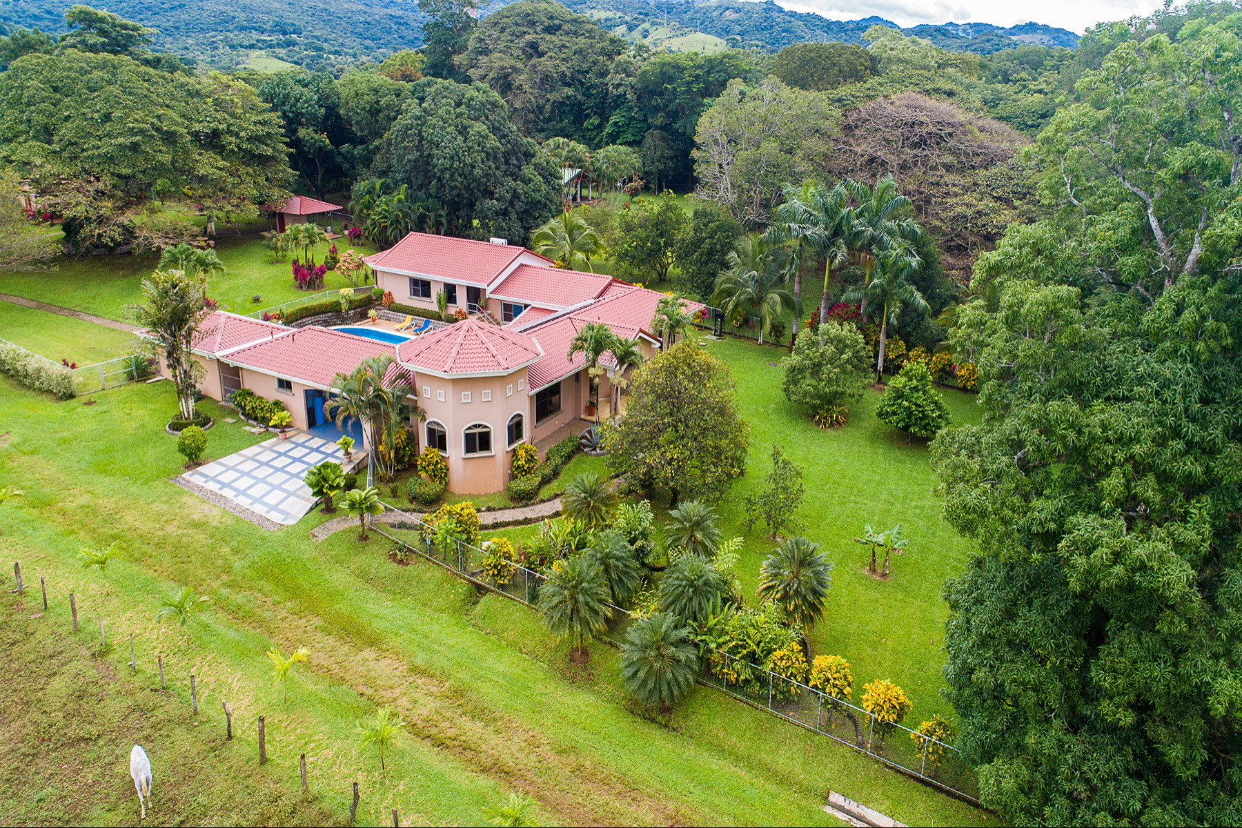  Villa San Mateo - 物件實景