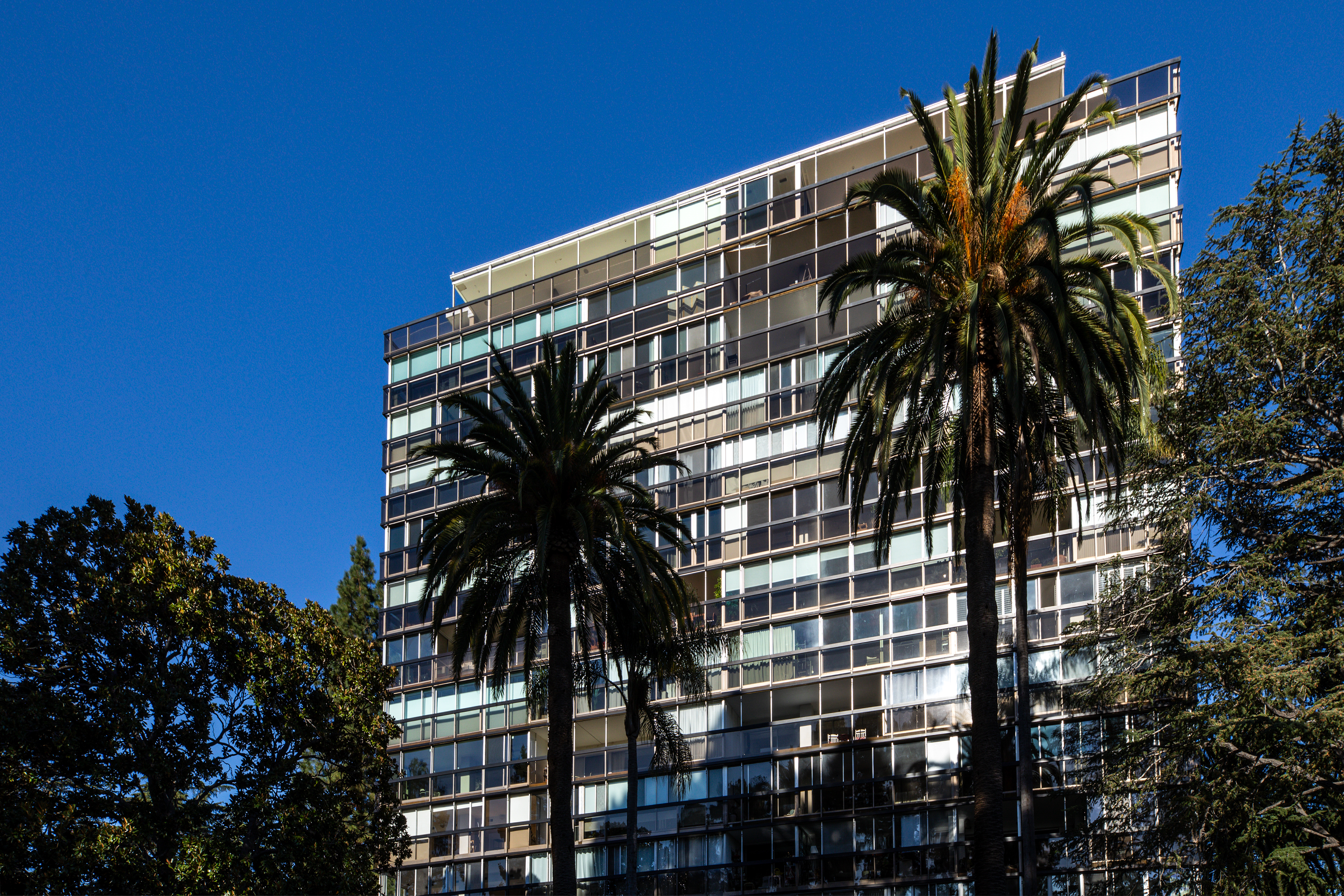  Downtown Condo with Tree Top Views - 物件實景