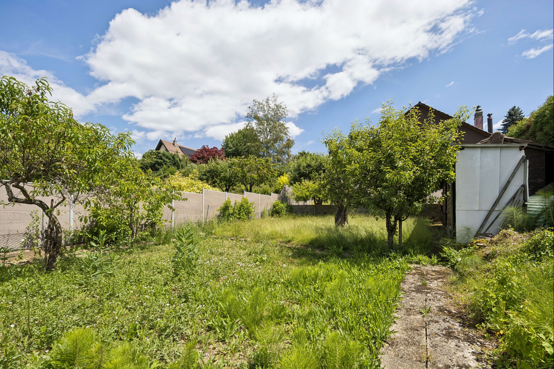  Charming family home—an investment opportunity - 物件實景