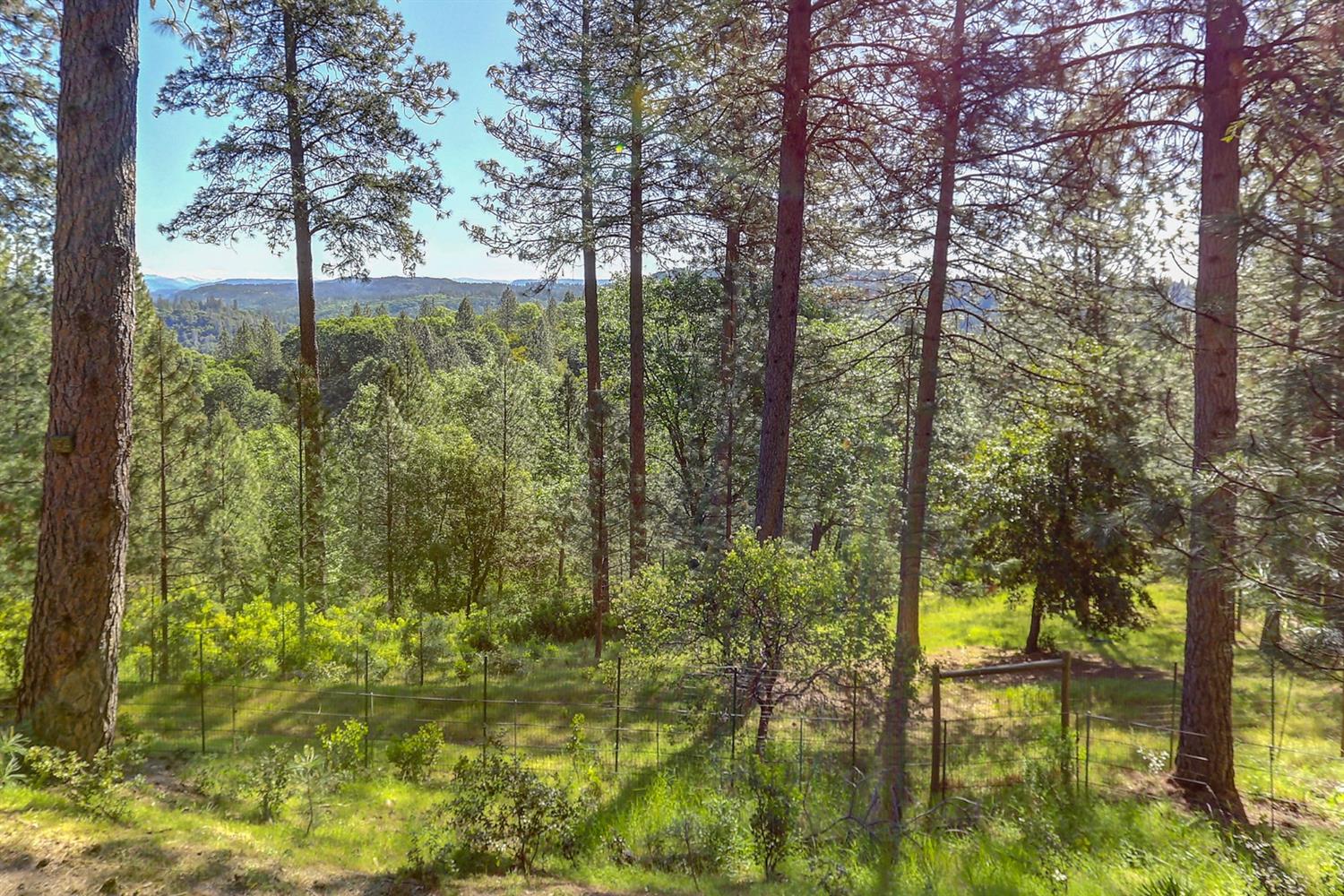Grass Valley, California, 95949, United States, 3 Bedrooms Bedrooms, ,3 BathroomsBathrooms,Residential,For Sale,1842602
