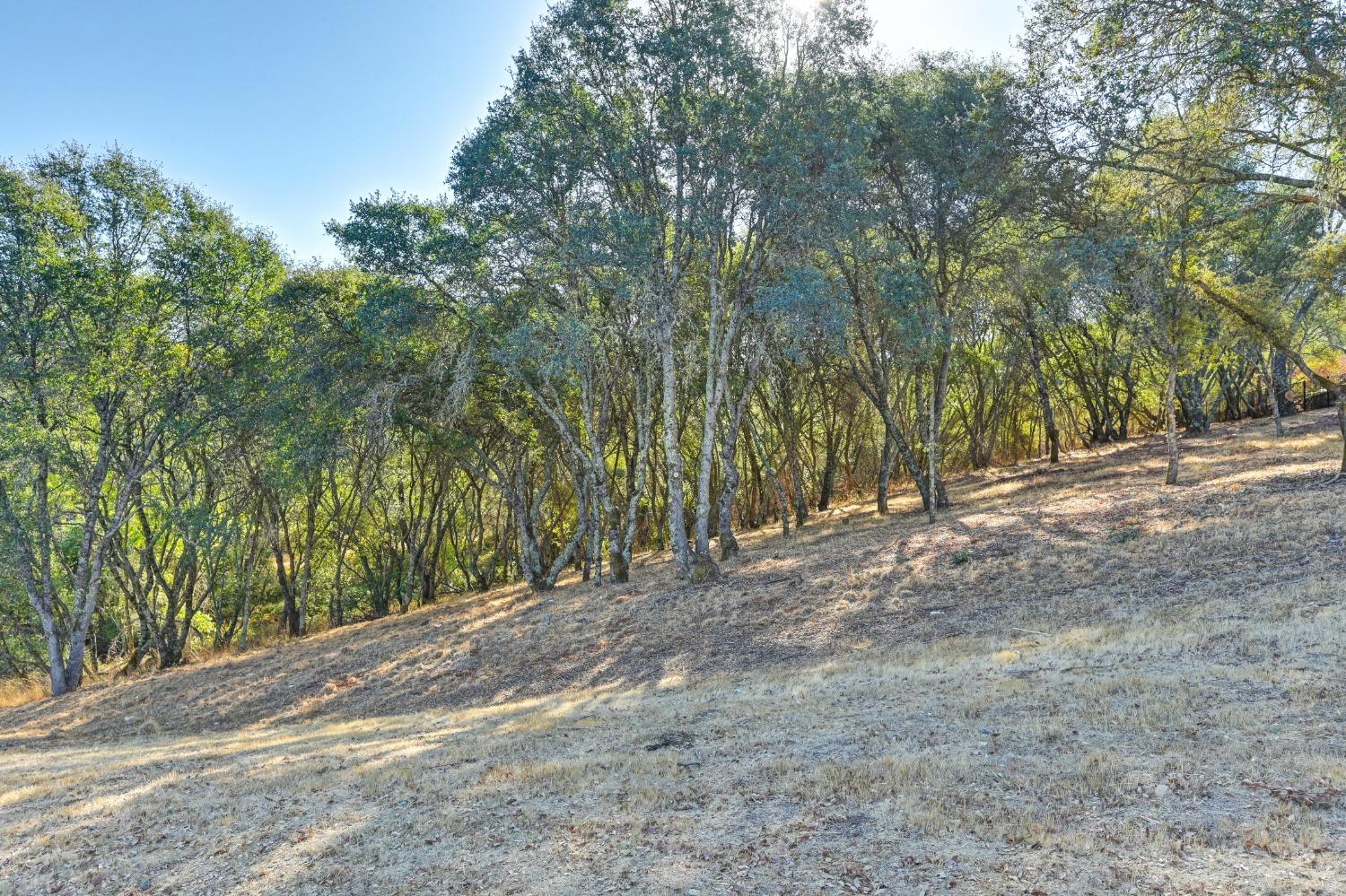 El Dorado Hills, California, 95762, United States, ,Land,For Sale,1993227