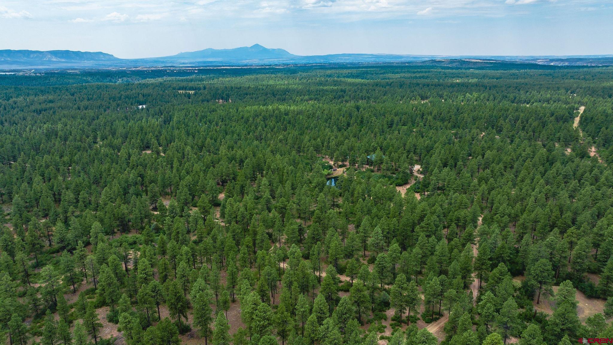 Mancos, Colorado, 81328, United States, 3 Bedrooms Bedrooms, ,4 BathroomsBathrooms,Residential,For Sale,1978860