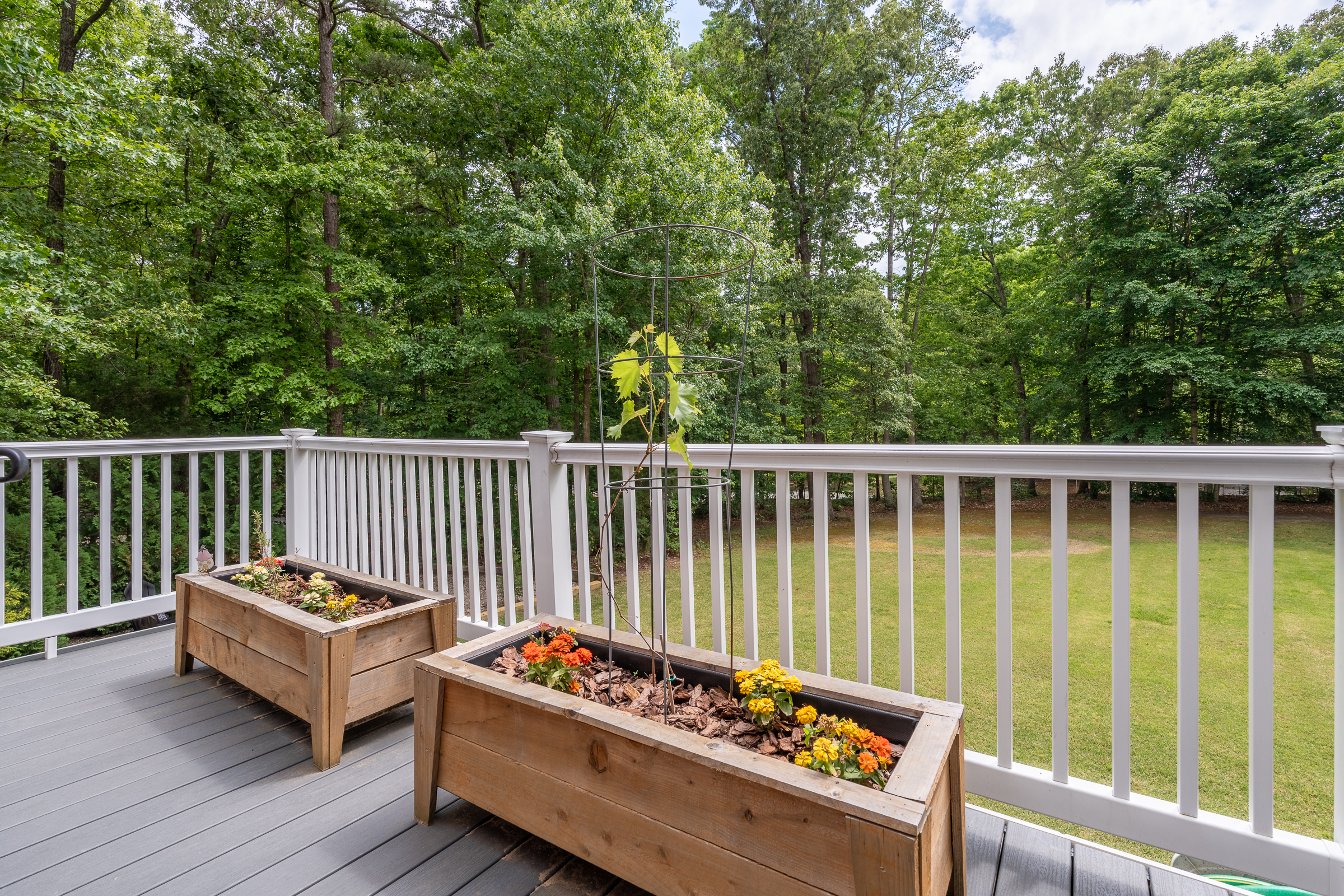  381 Shorewood Drive, Louisa, VA 23117 - 物件實景