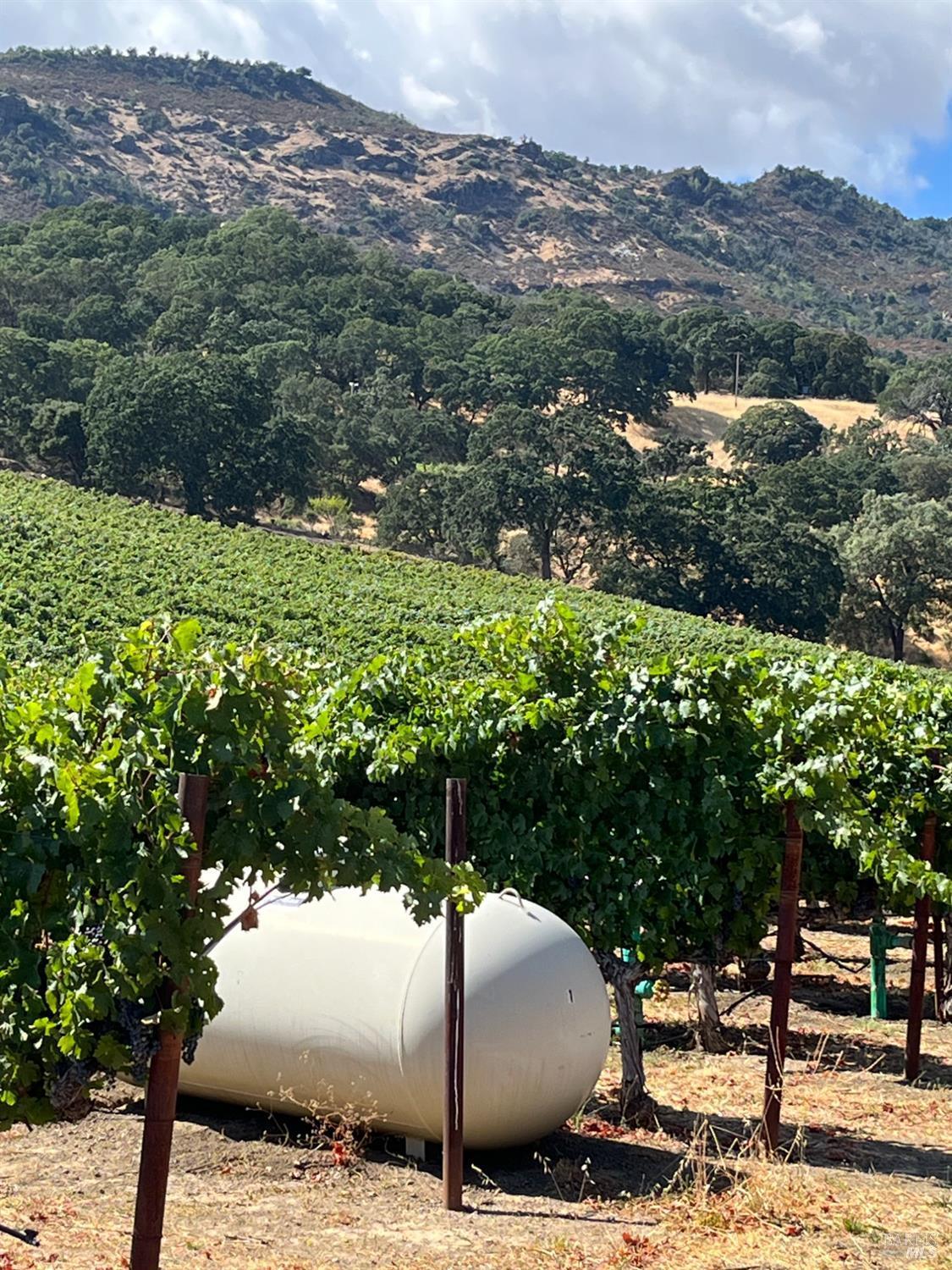 Napa, California, 94558, United States, 3 Bedrooms Bedrooms, ,3 BathroomsBathrooms,Residential,For Sale,1991897