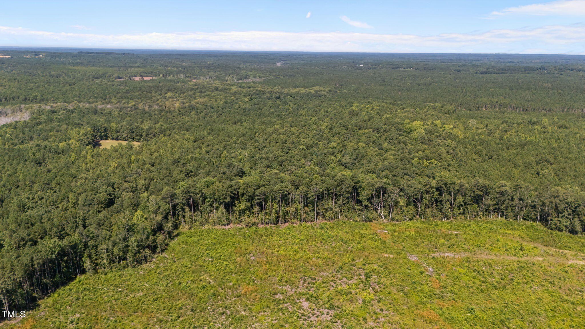 Cameron, North Carolina, 28326, United States, ,Land,For Sale,1980450