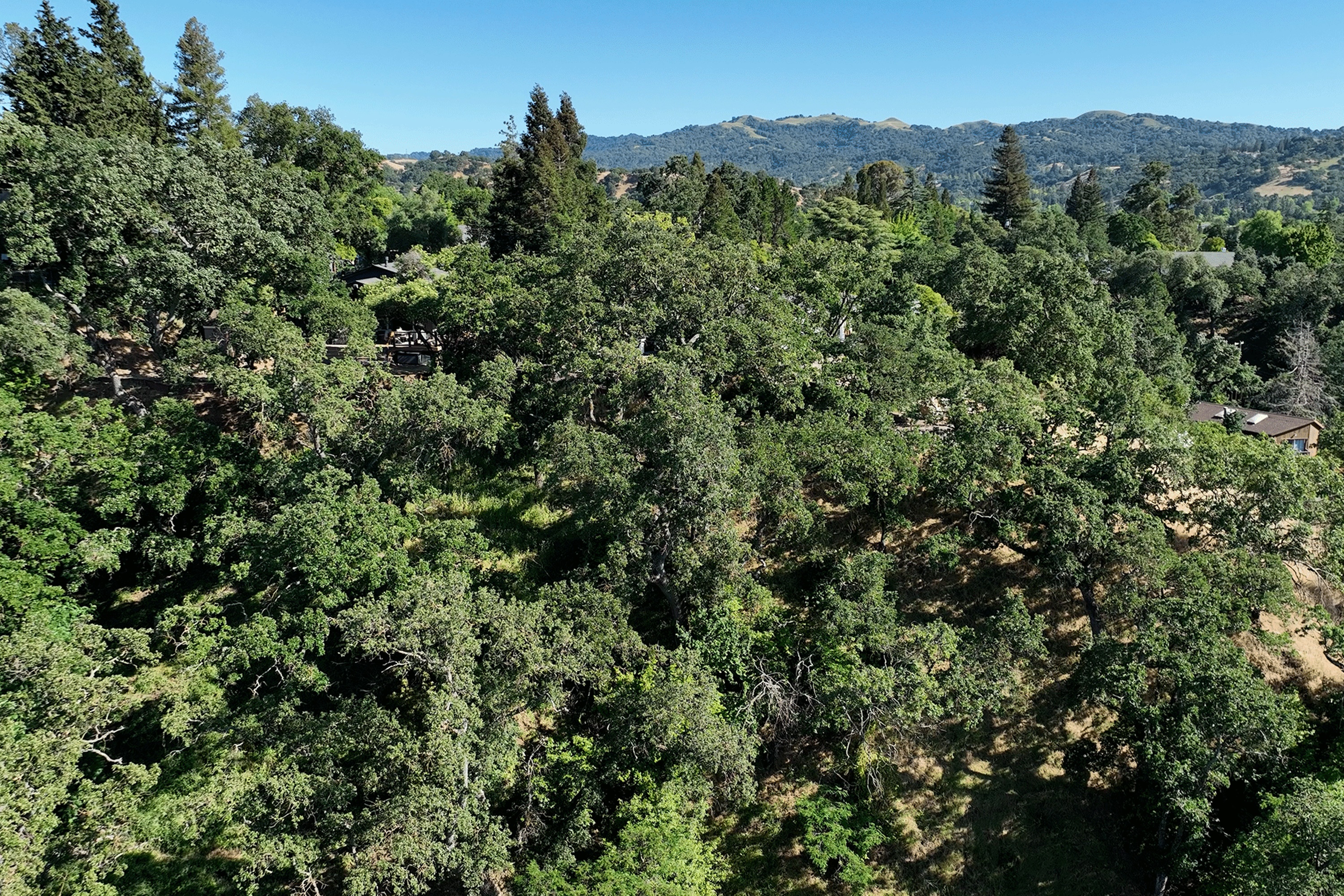  Build Your Dream Home on Nearly an Acre with Sweeping Walnut Creek Views - 物件實景