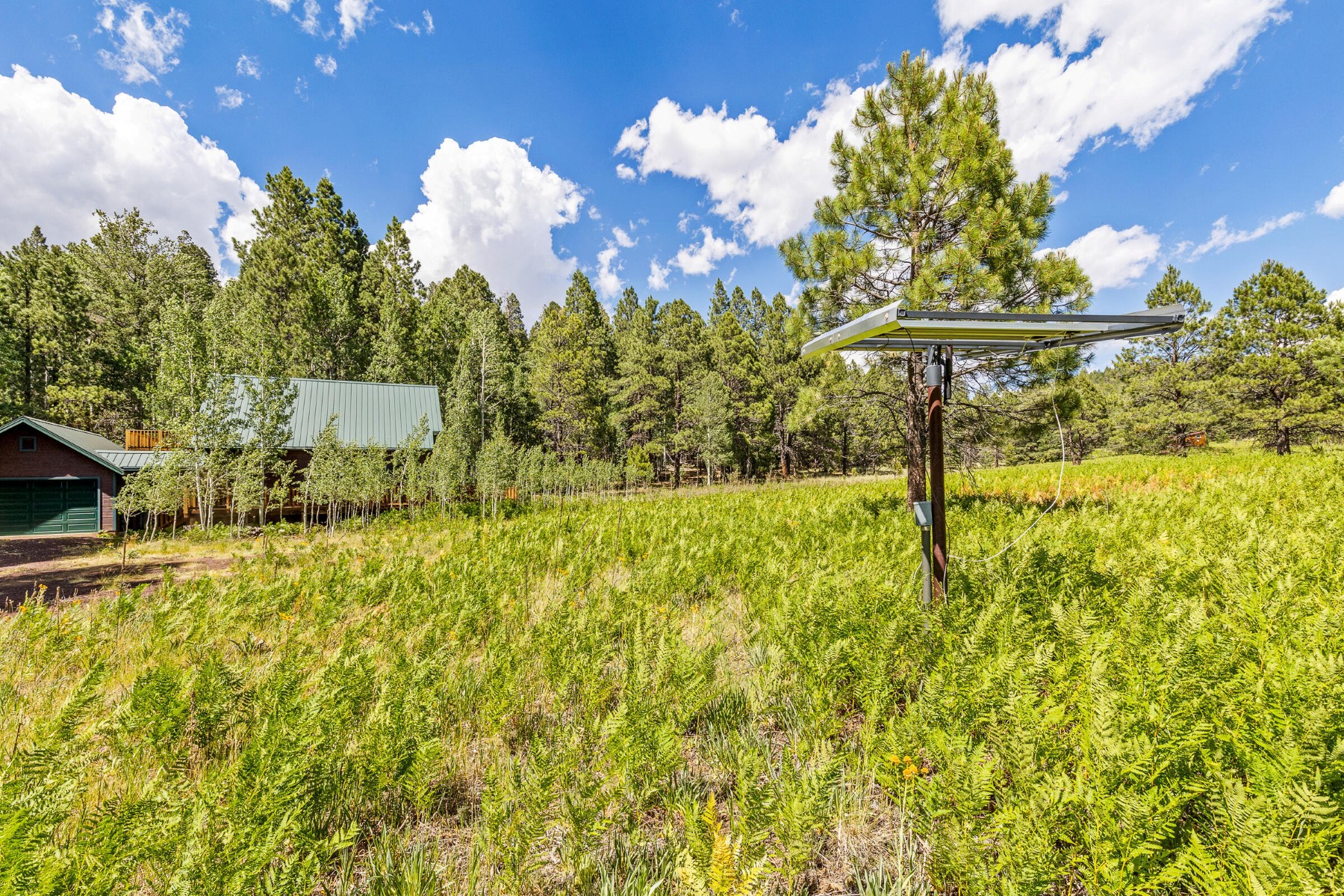  17787 N Forest Service 9004t Road ¦ Flagstaff, AZ - 物件實景