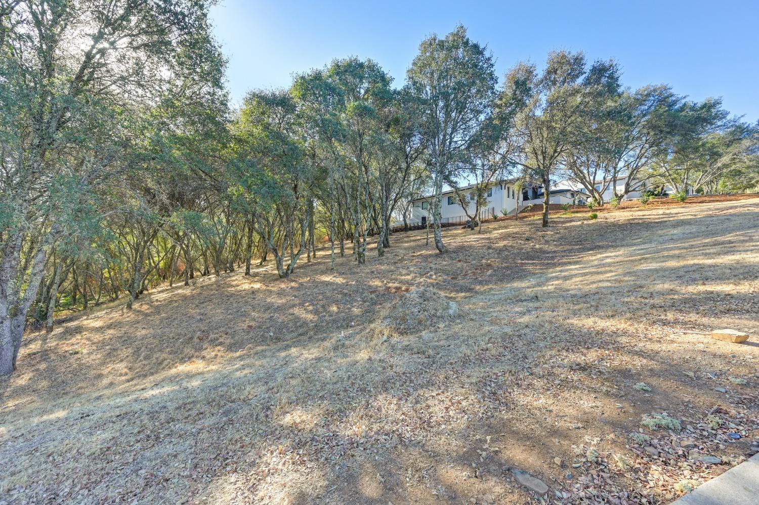 El Dorado Hills, California, 95762, United States, ,Land,For Sale,1993227
