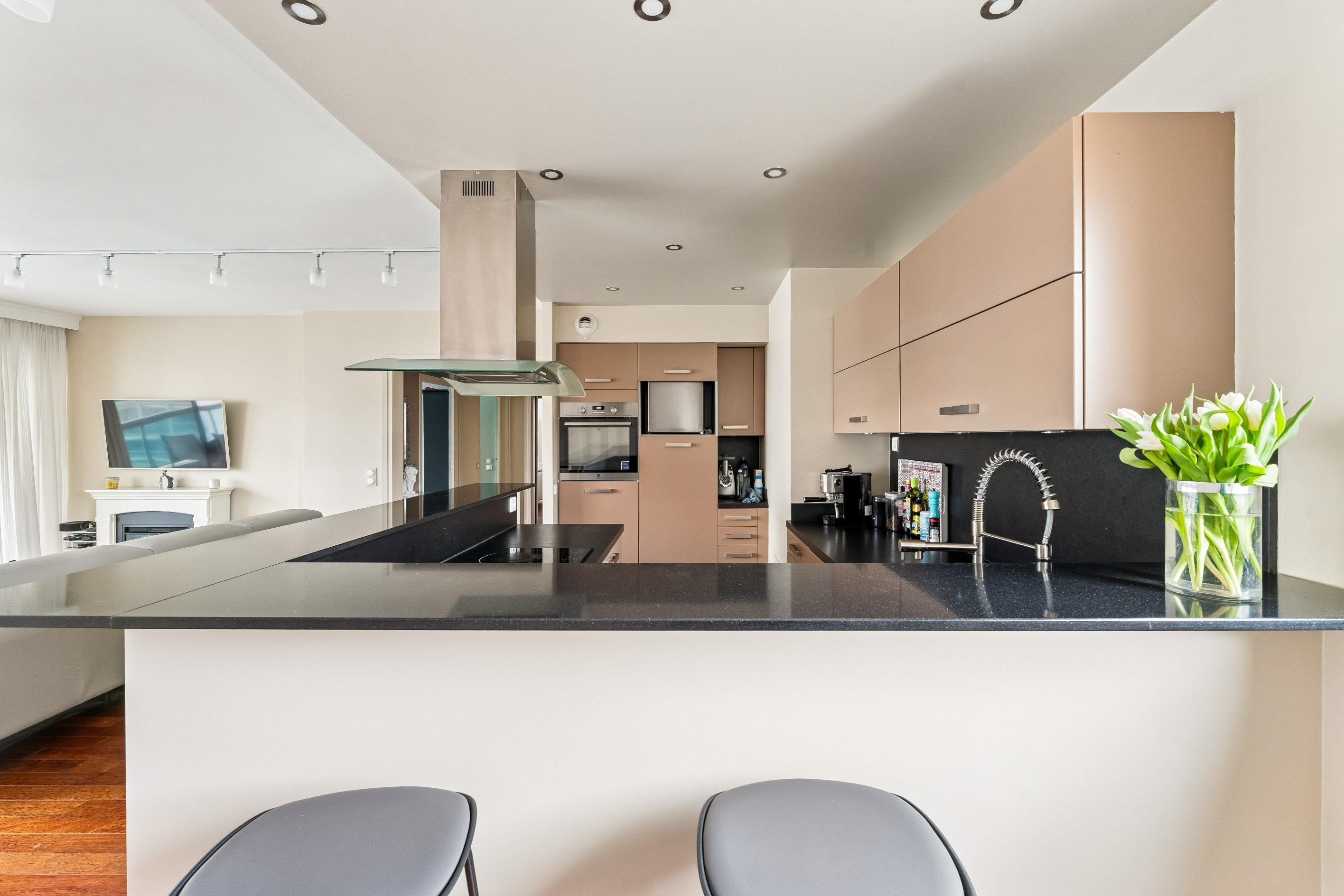  Elegant Apartment with Terrace – Neuilly-sur-Seine - 物件實景