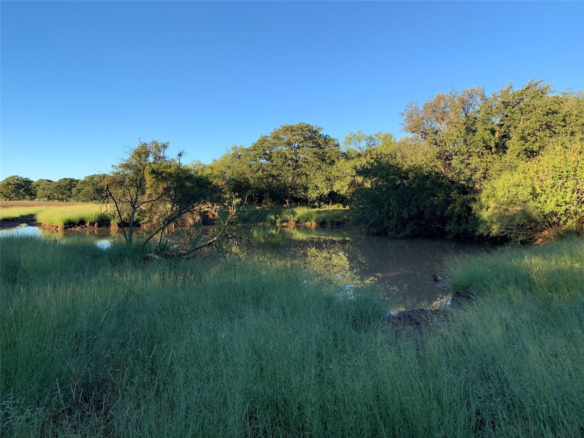  125 Acres of Texas Land for Recreation and Retreat - 物件實景