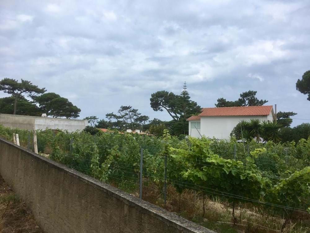 Sintra, Lisbon, 2705-645, PT, ,Land,For Sale,1698762