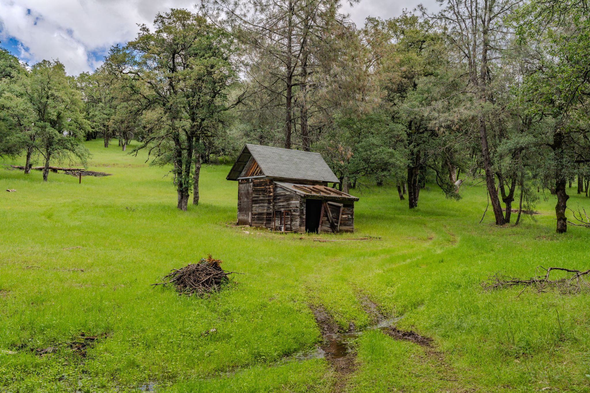  19351 Fiddletown Road, Fiddletown, CA 95629 - 物件實景