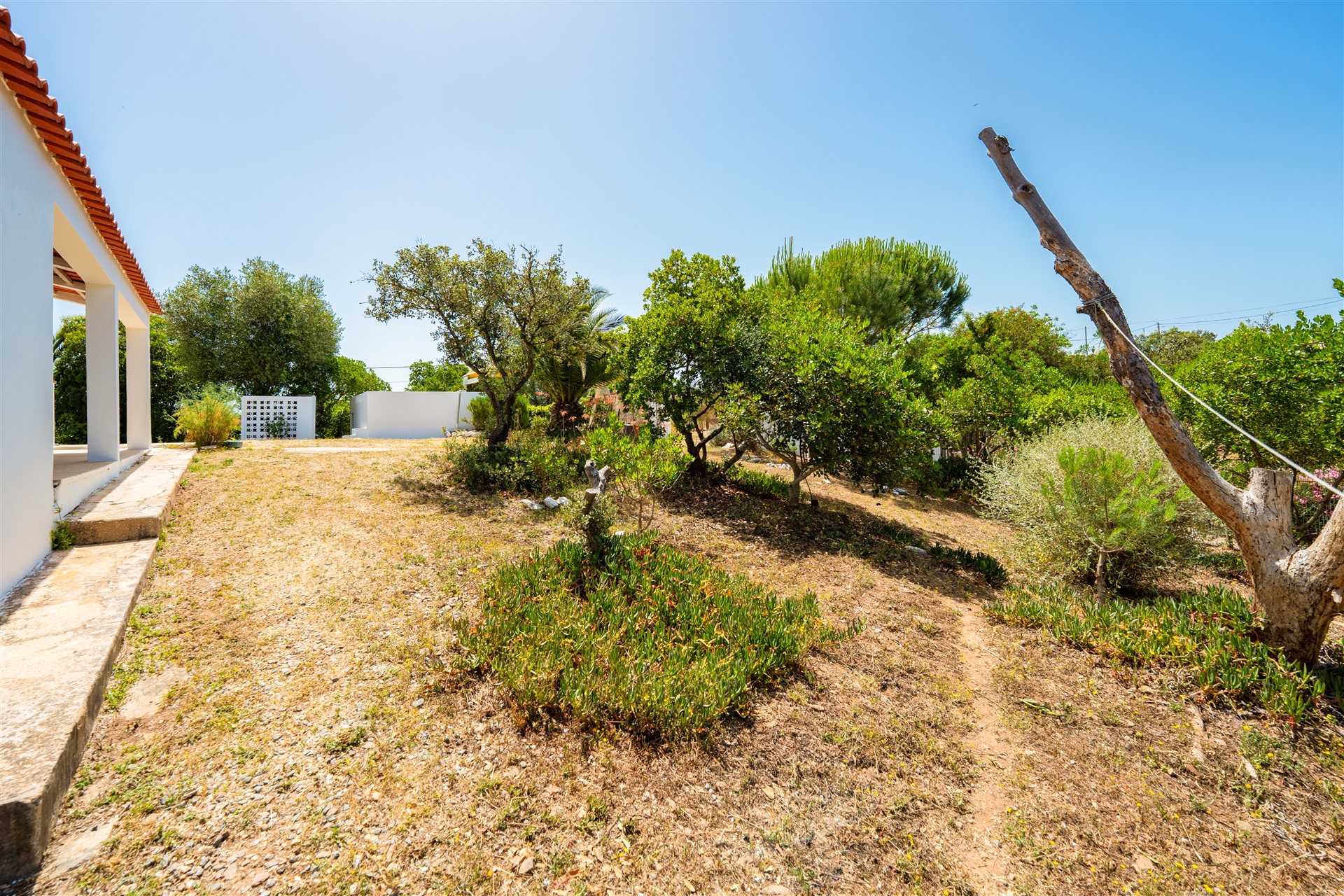  Farm, 4 bedrooms, for Sale - 物件實景