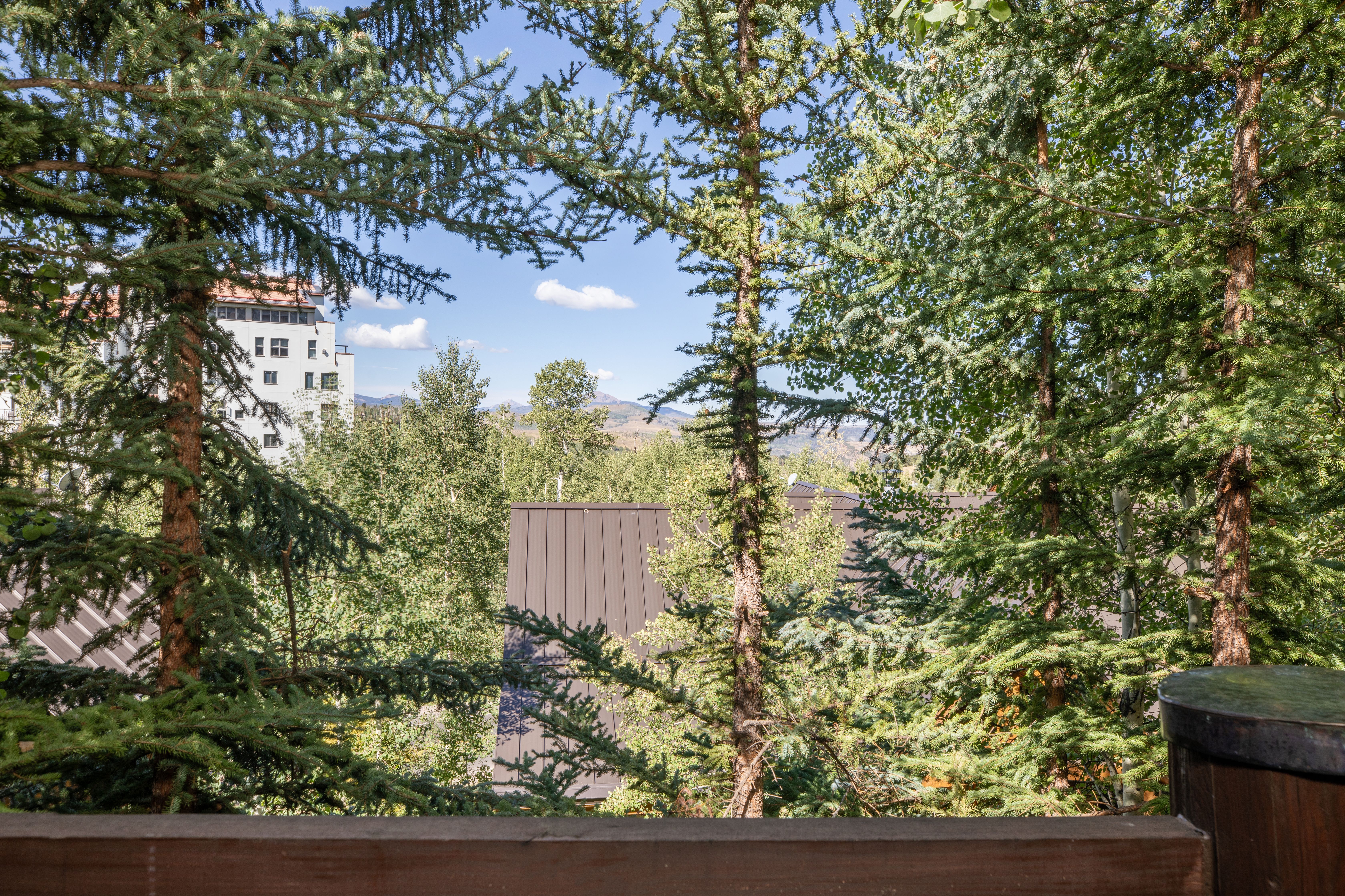  Turnkey Opportunity in Historic Telluride - 物件實景