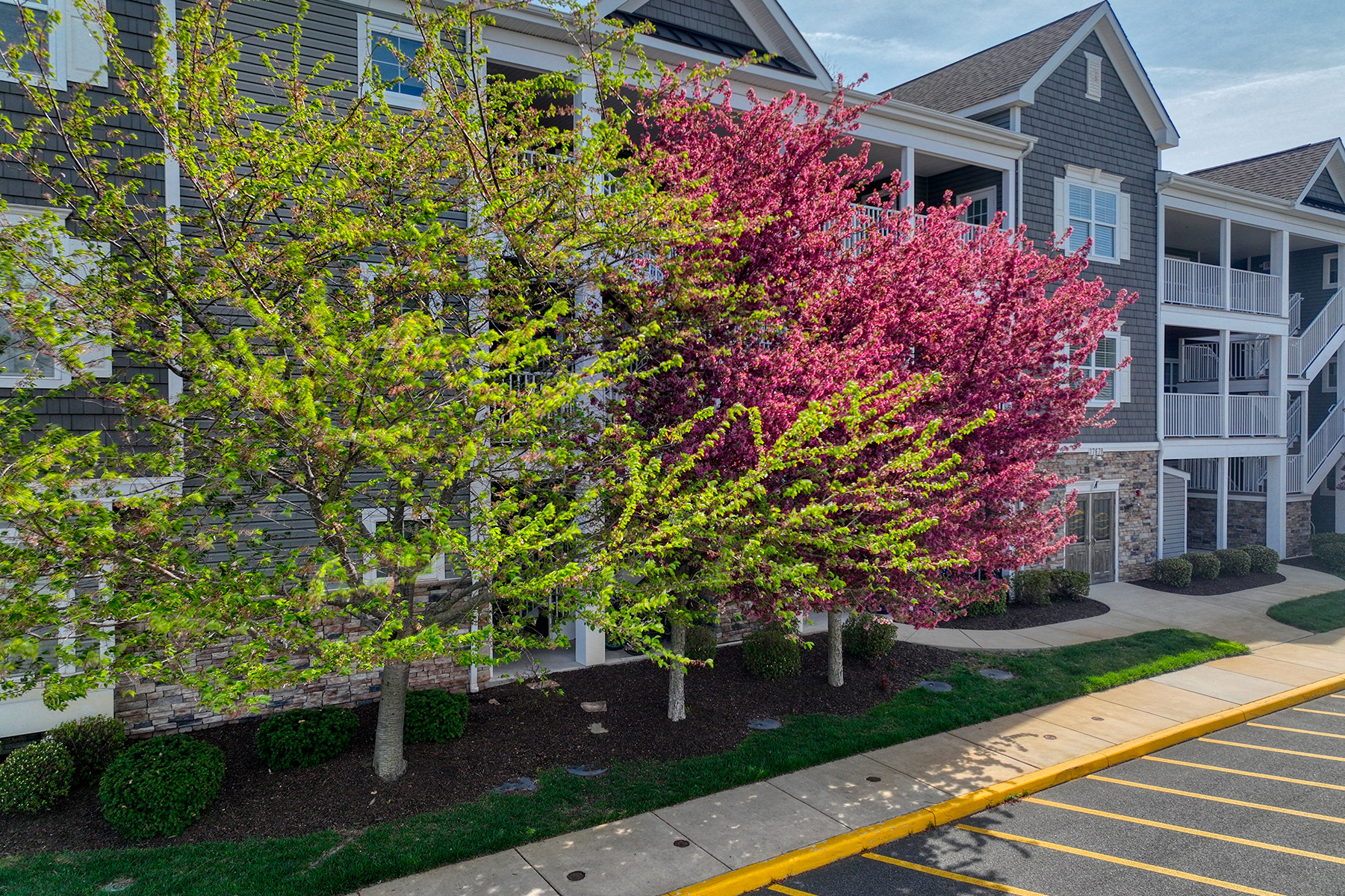  37670 Exeter Drive , 2 - 物件實景