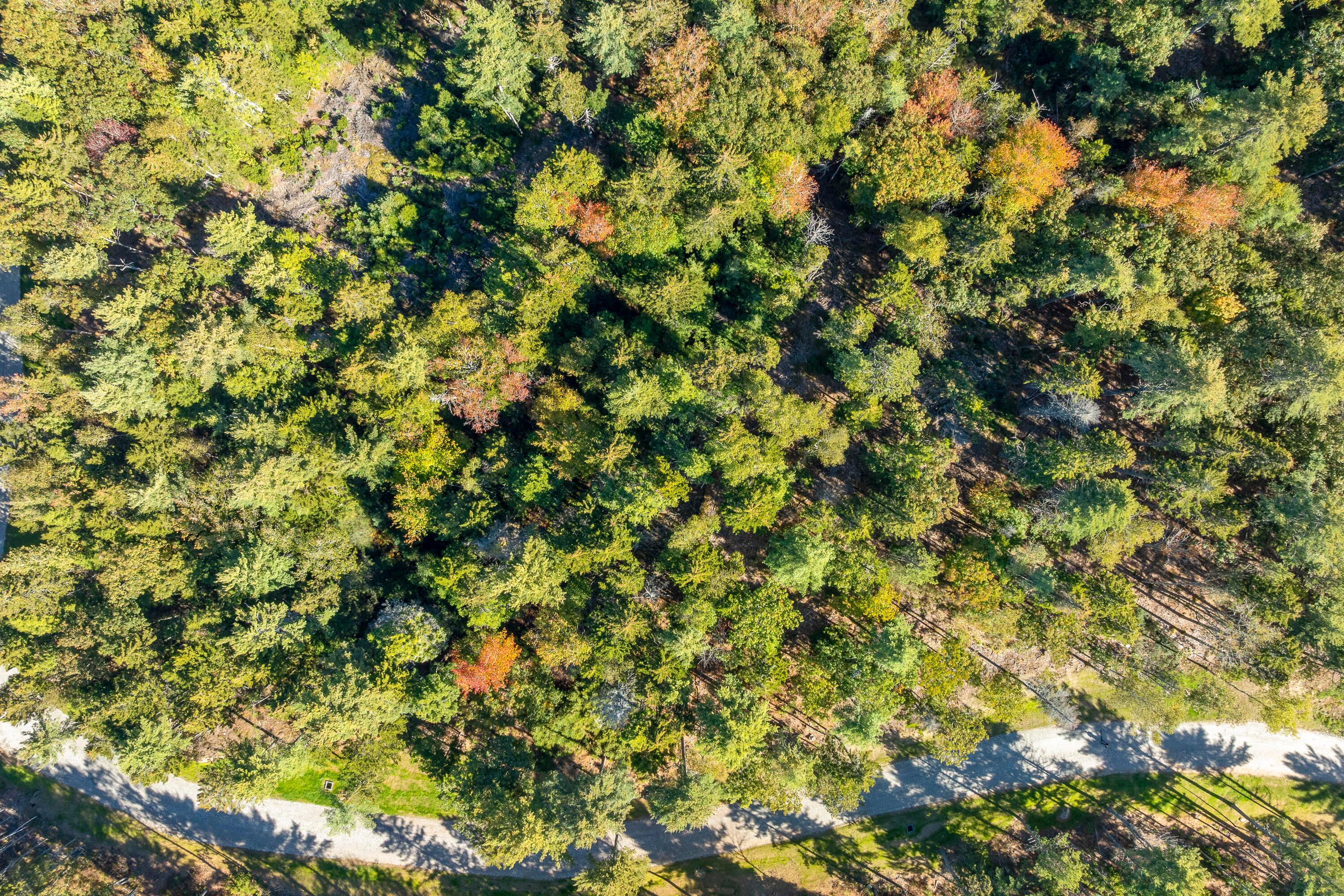  Lot 1-A Midden Ridge Road - 物件實景
