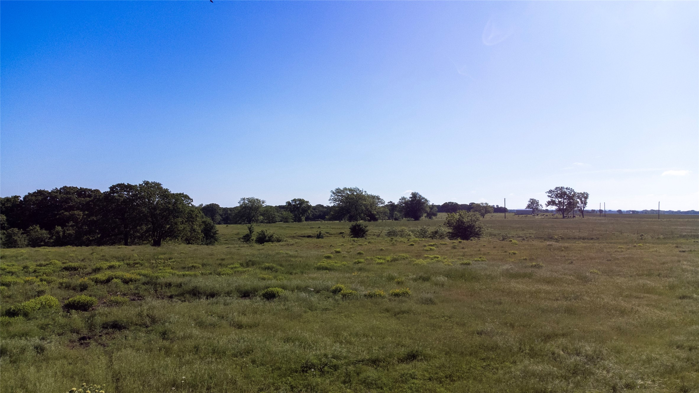 Sadler, Texas, 76264, United States, ,Land,For Sale,1837426