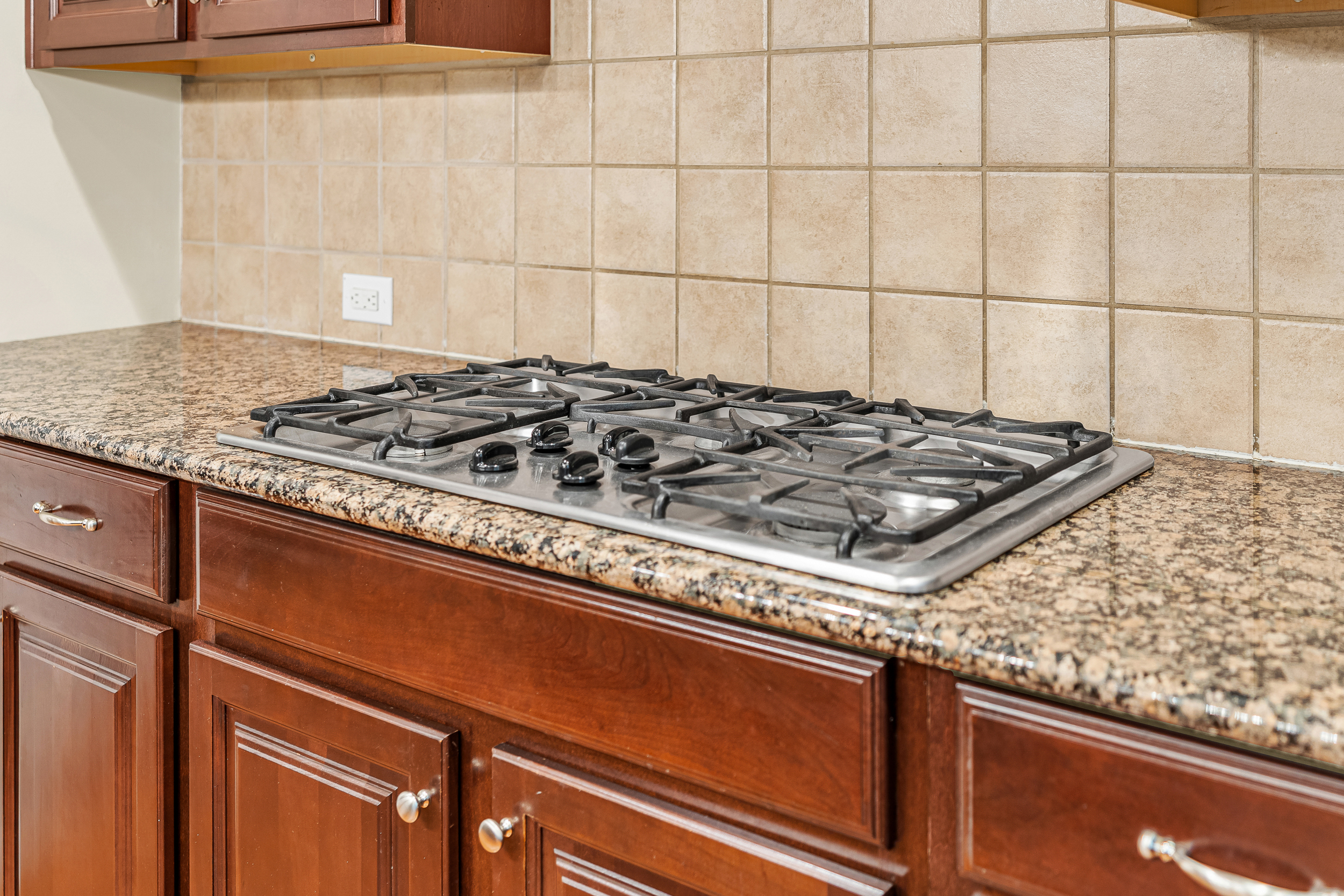  110 Vintage Hill Circle, Apex, NC 27539 - 物件實景